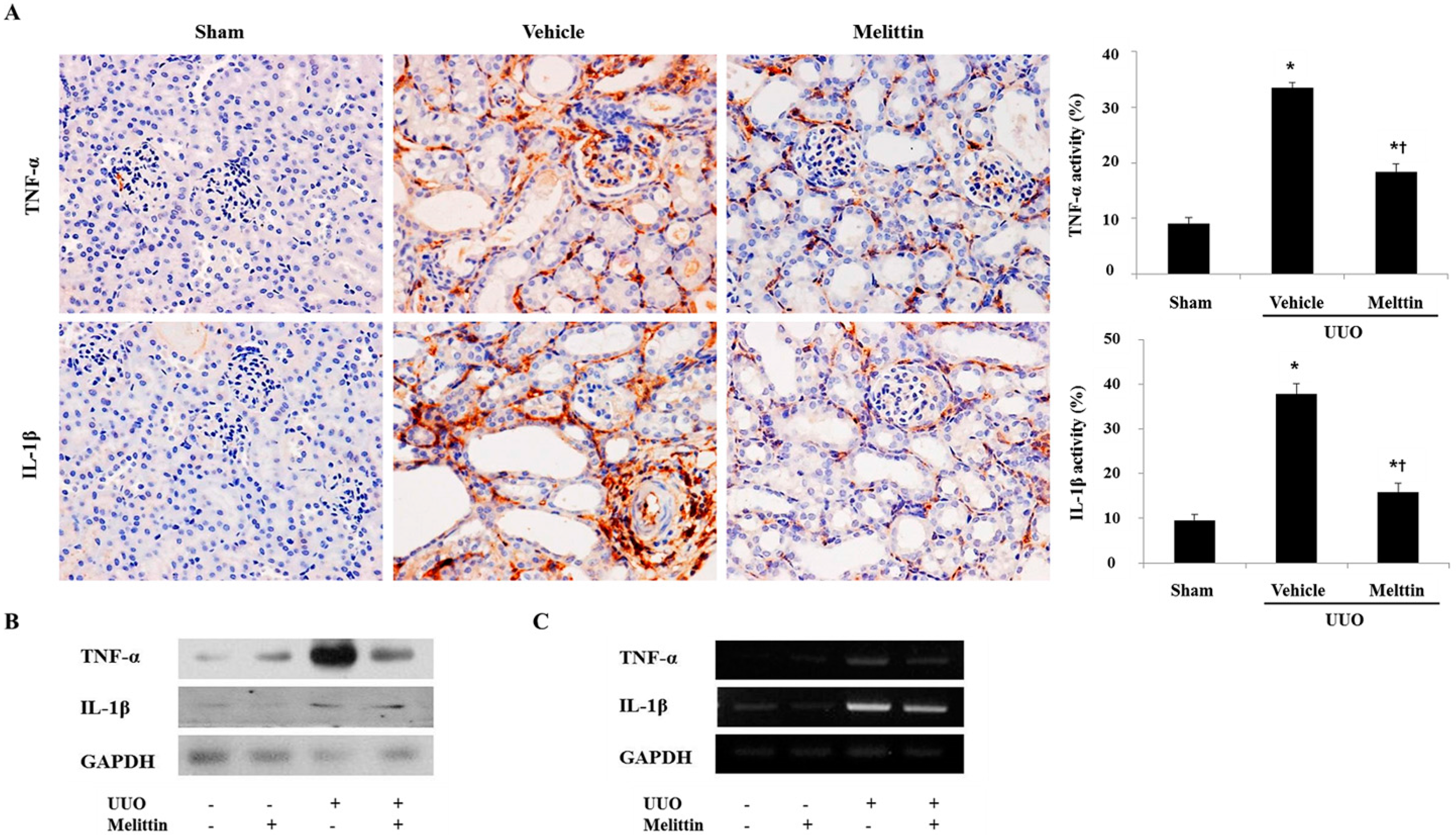 Molecules 21 01137 g002