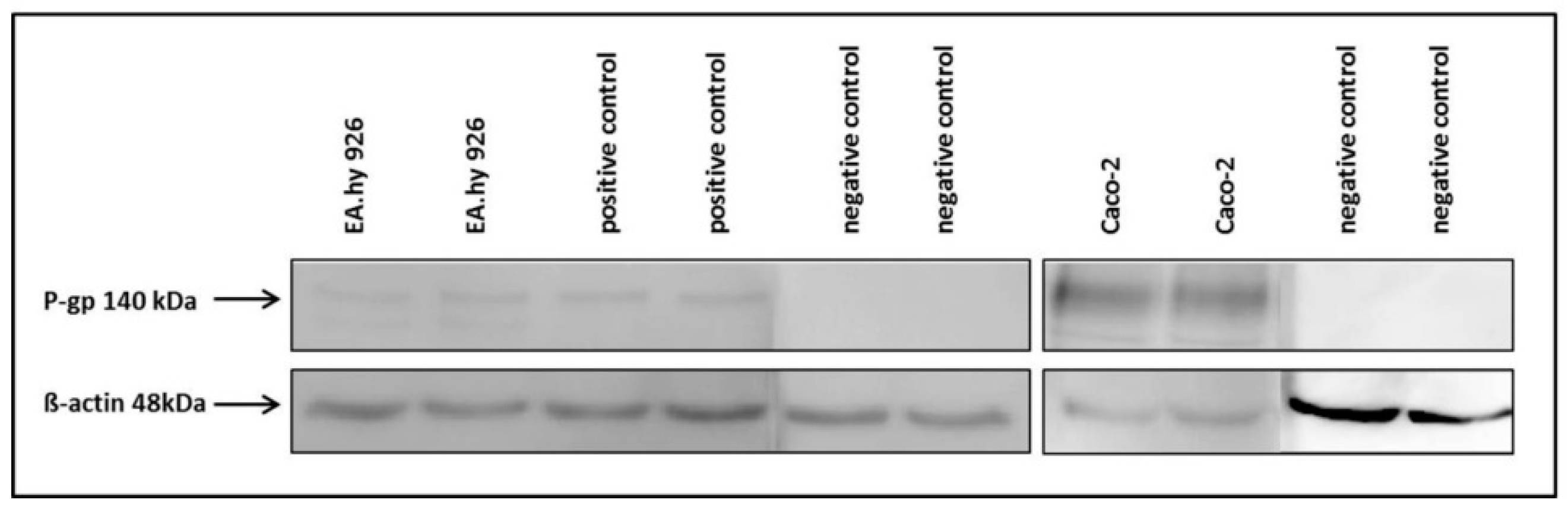 Molecules 21 01144 g016 550