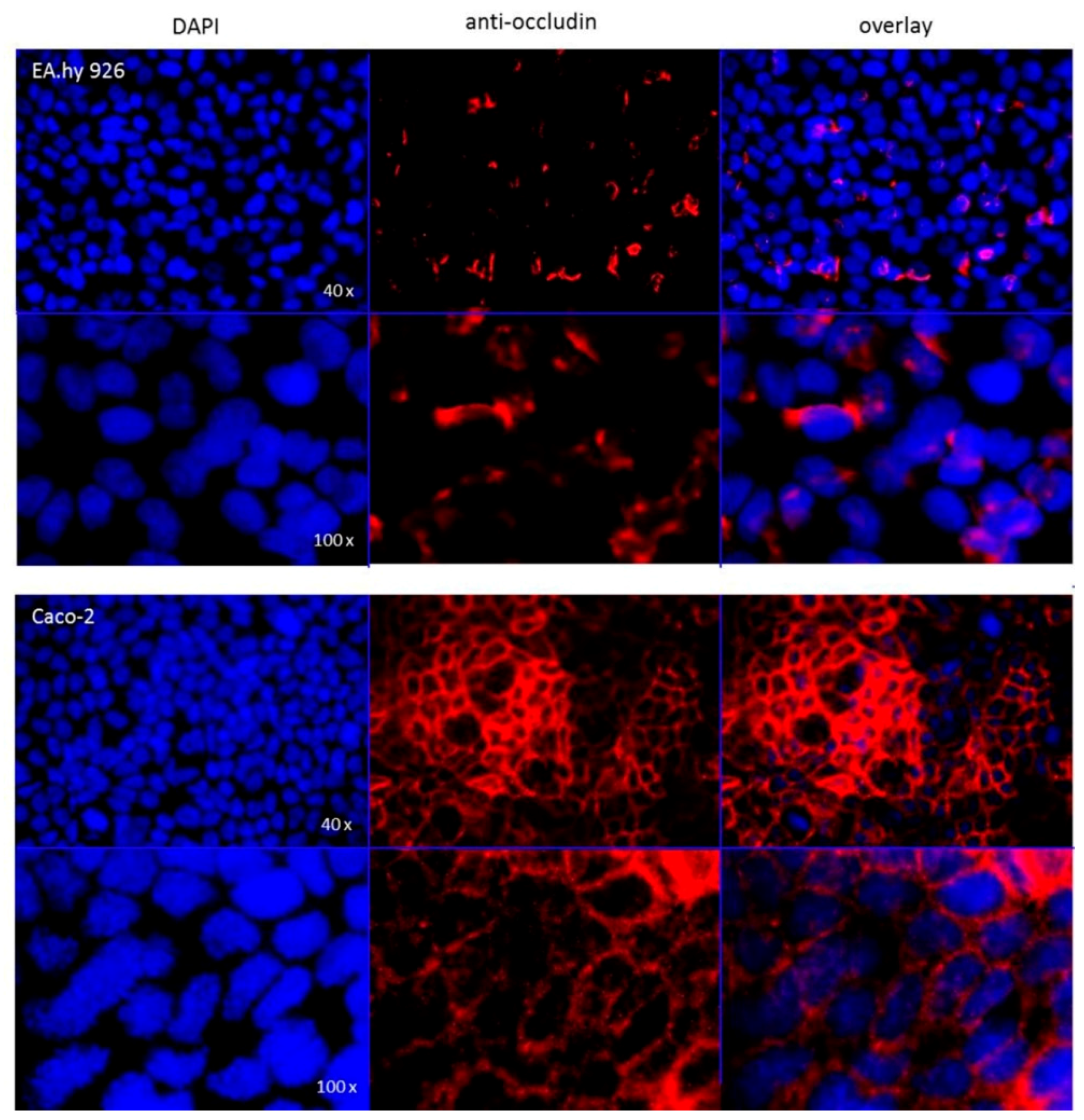 Molecules 21 01144 g018 550