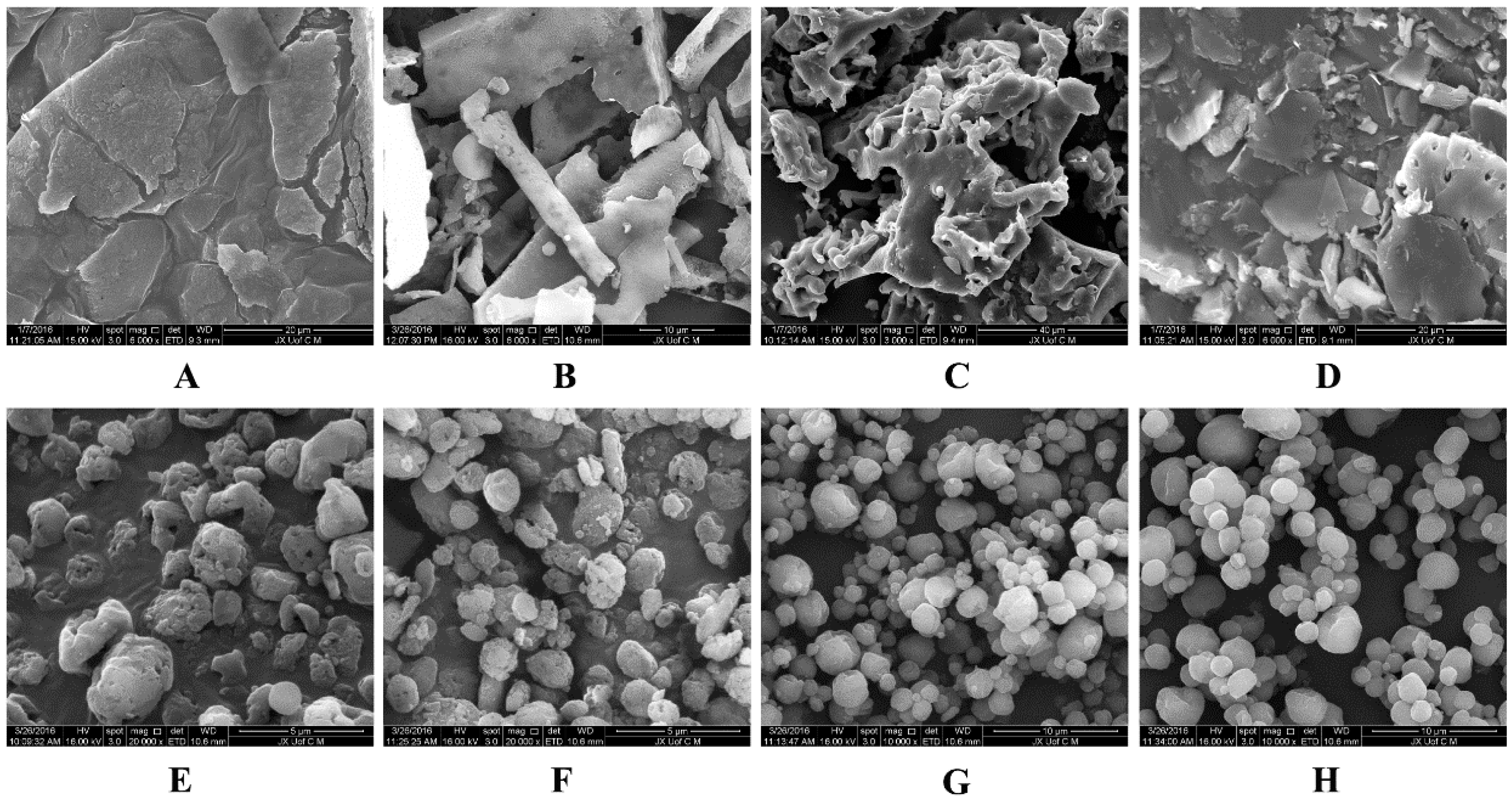 Molecules 21 01149 g007