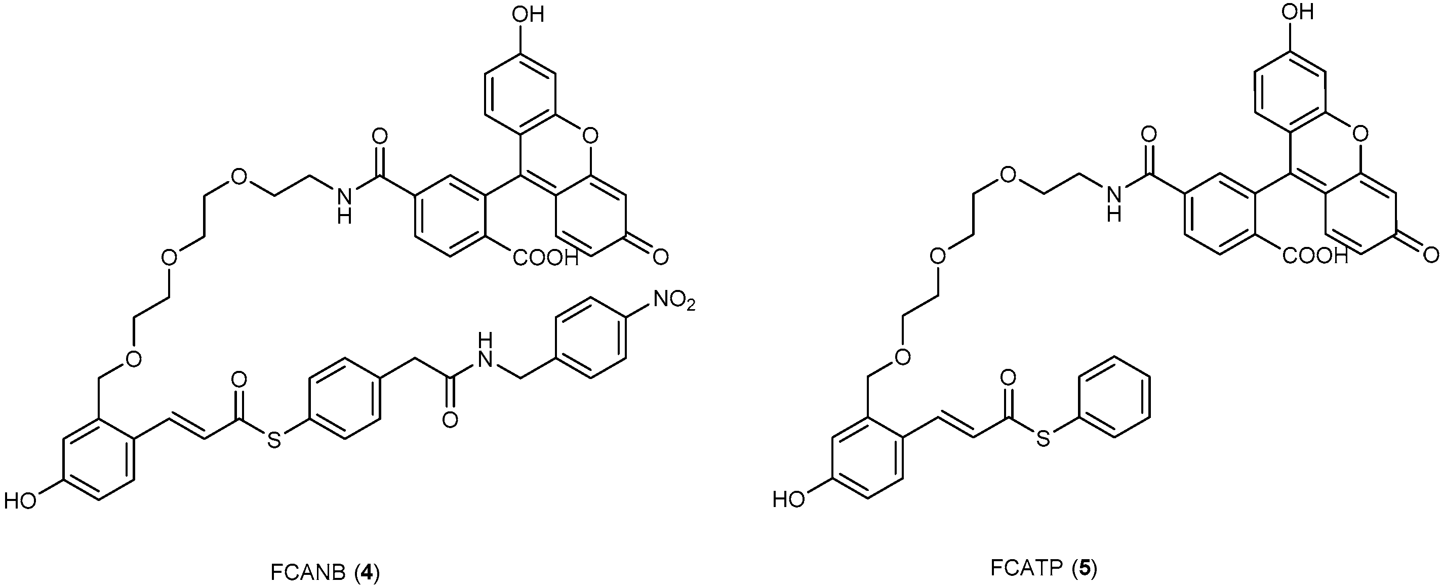 Molecules 21 01163 g005