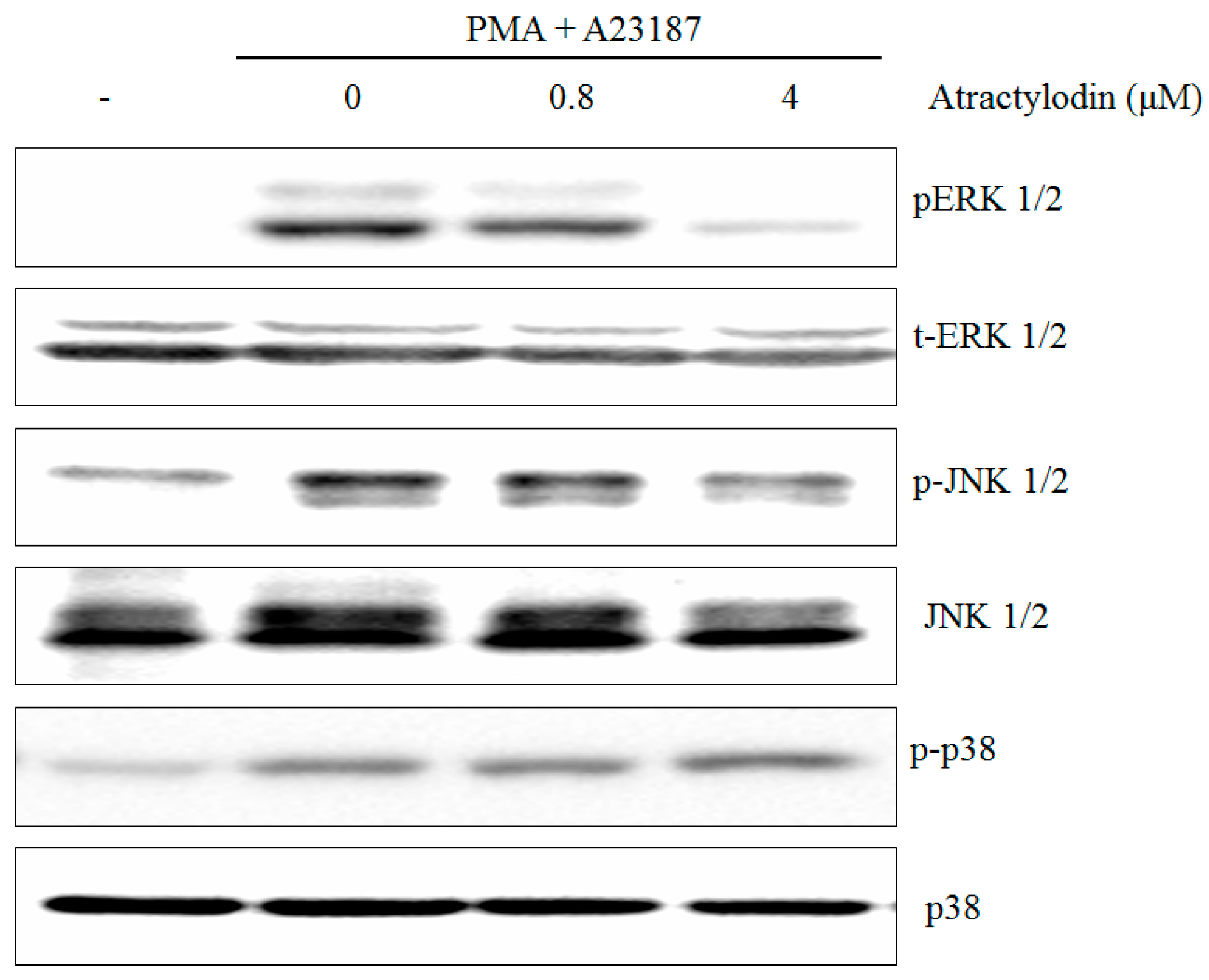 Molecules 21 01169 g003