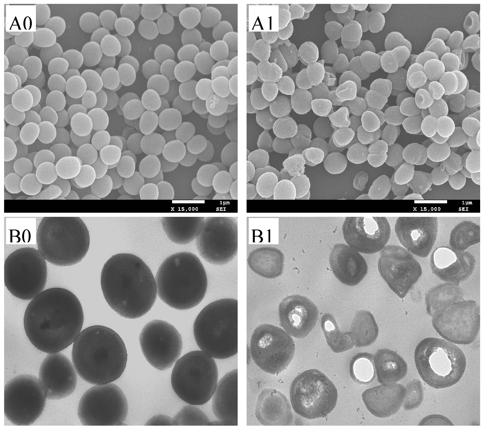 Molecules 21 01194 g003 550