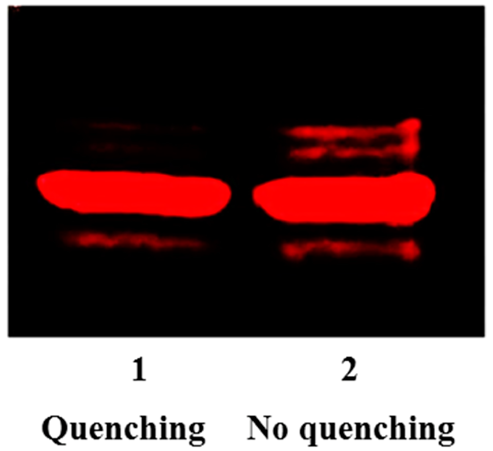Molecules 21 01195 g003