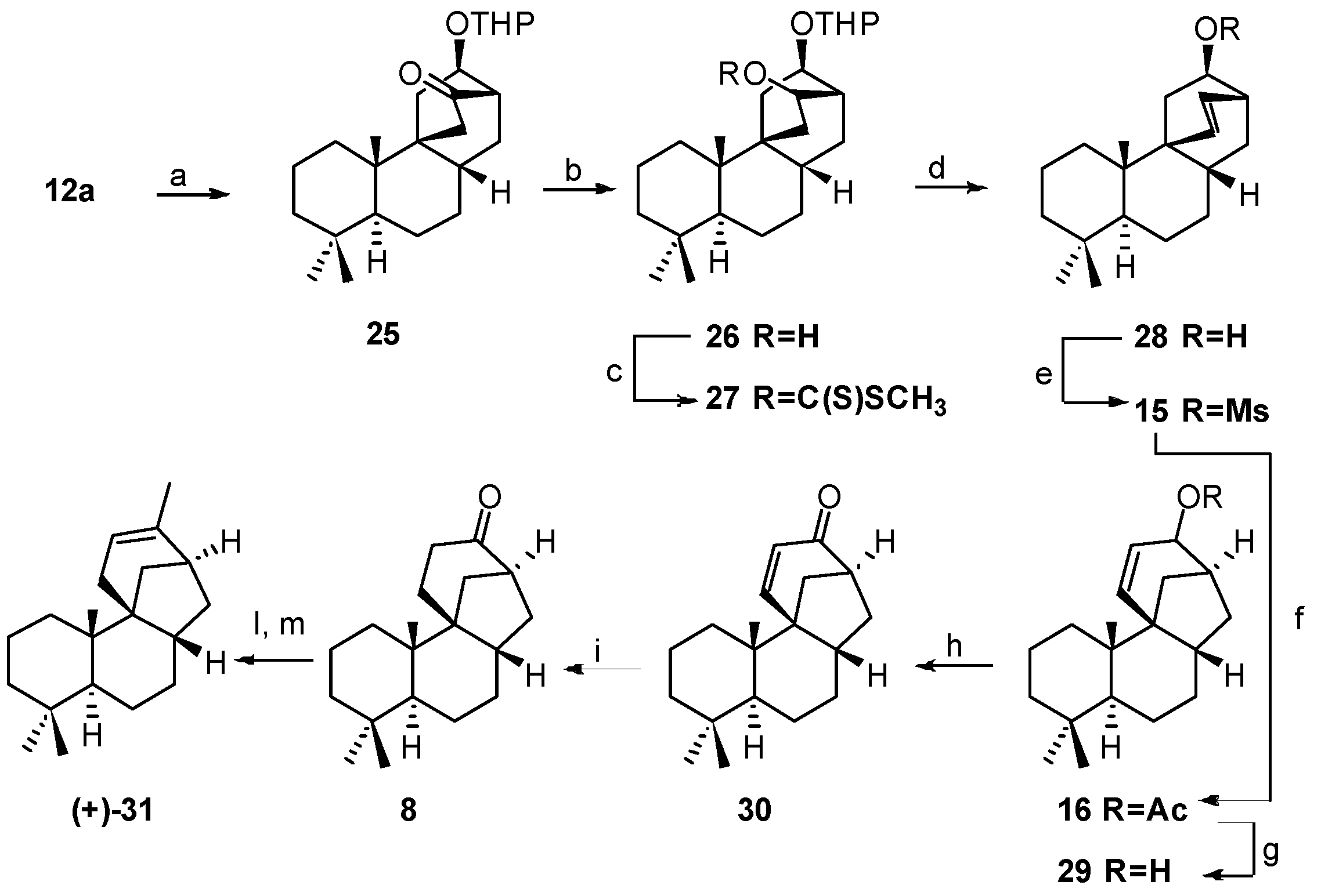 Molecules 21 01197 sch004