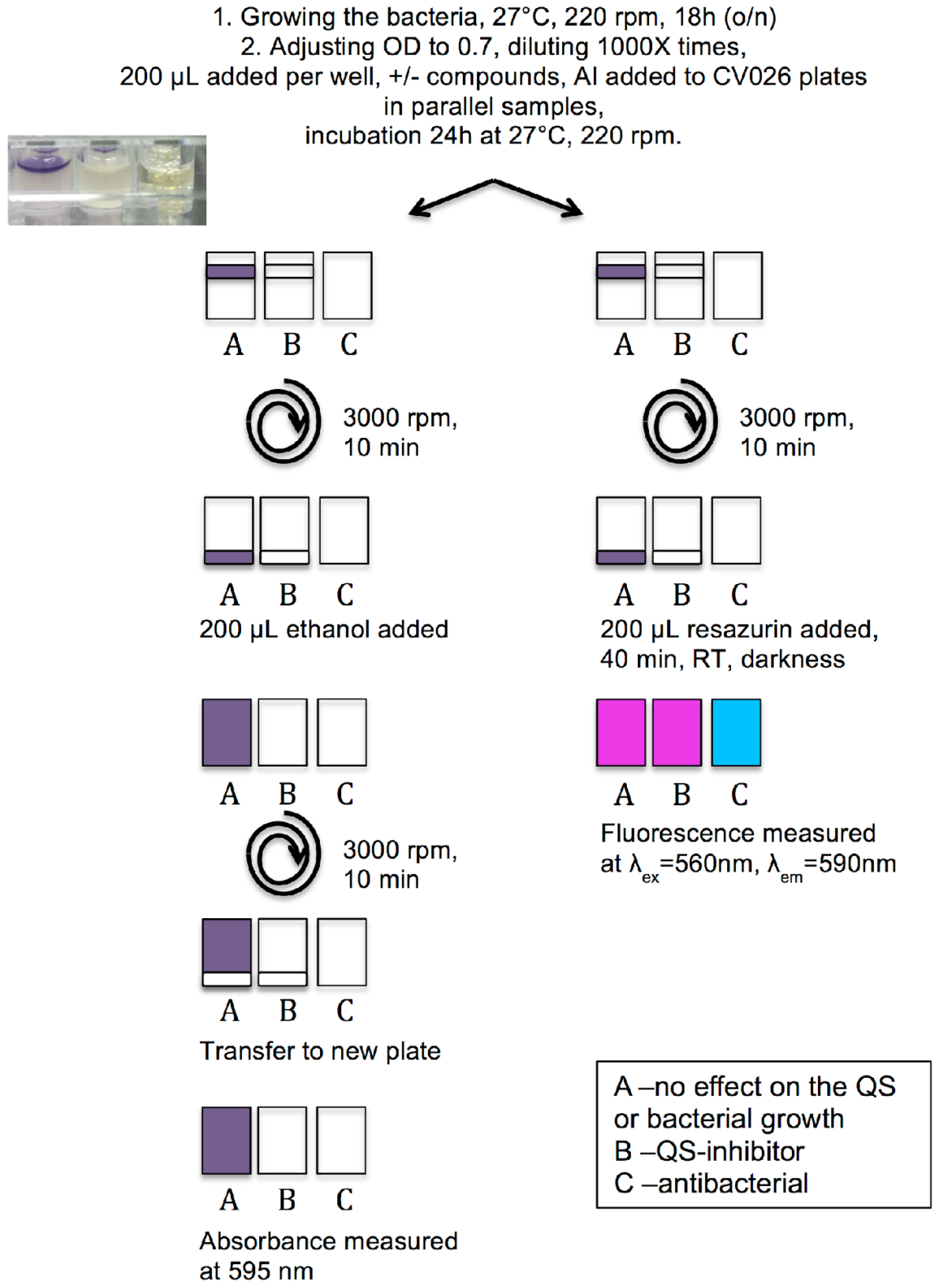 Molecules 21 01211 g001