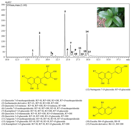Molecules Free FullText HPLCDADESIMS Analysis of Flavonoids