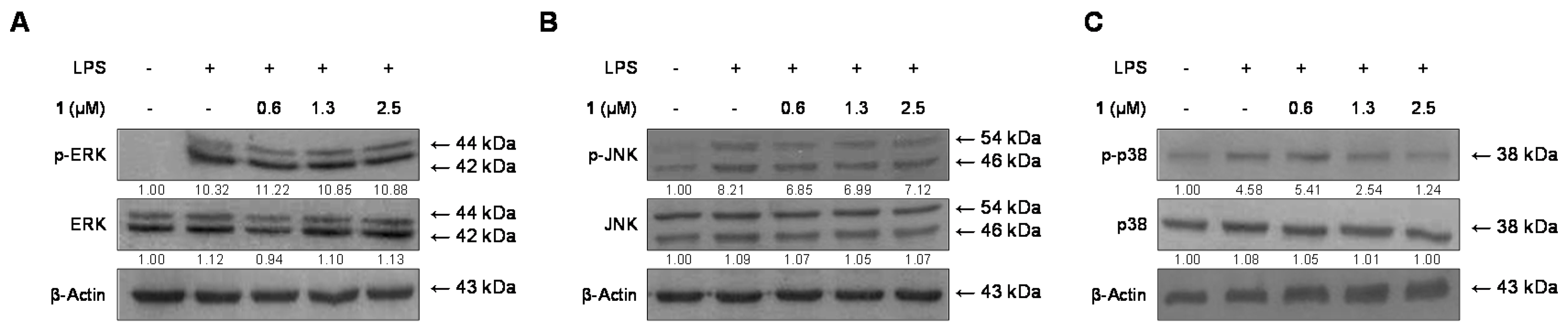Molecules 21 01240 g006