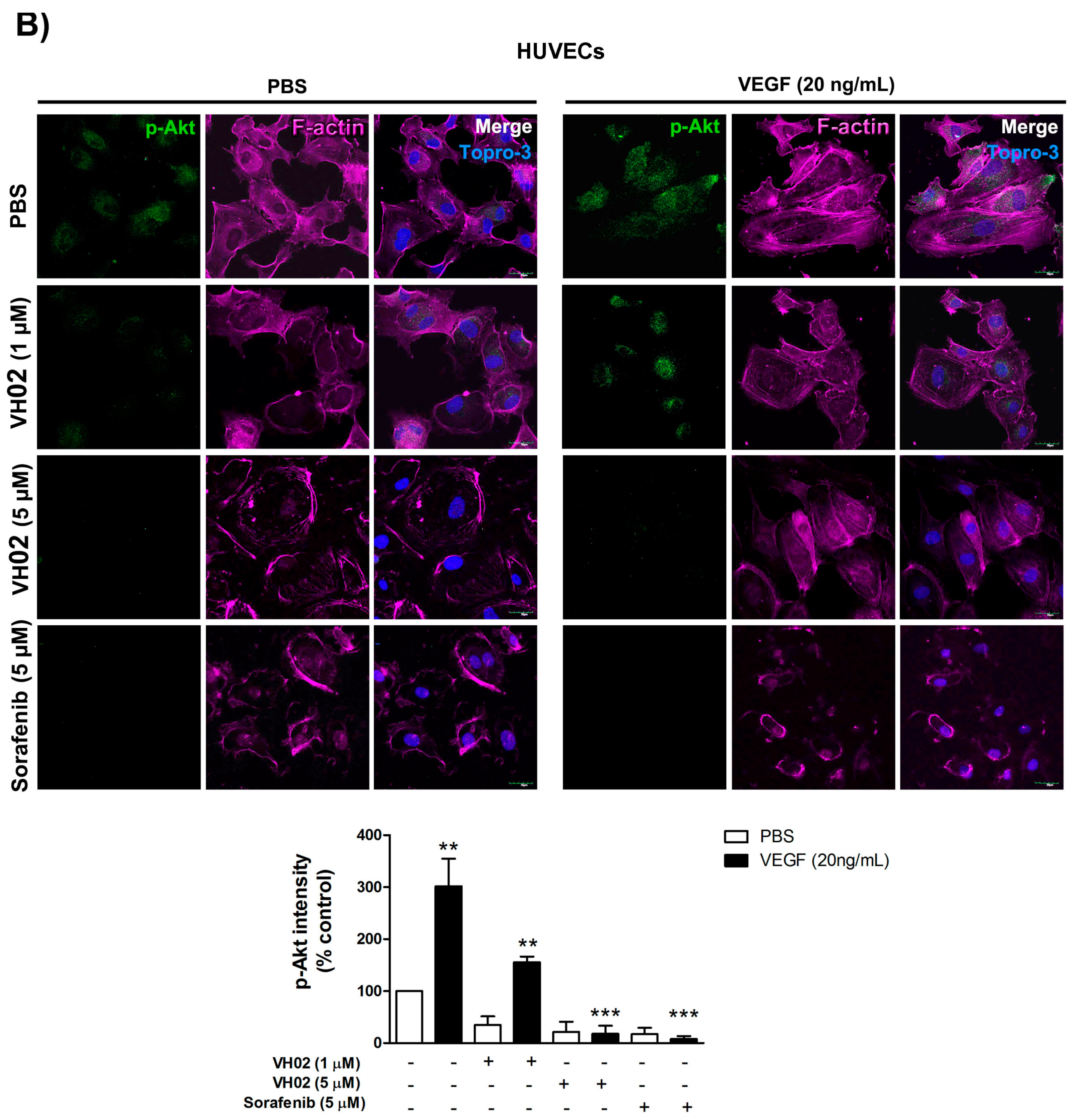 Molecules 21 01258 g006b 550