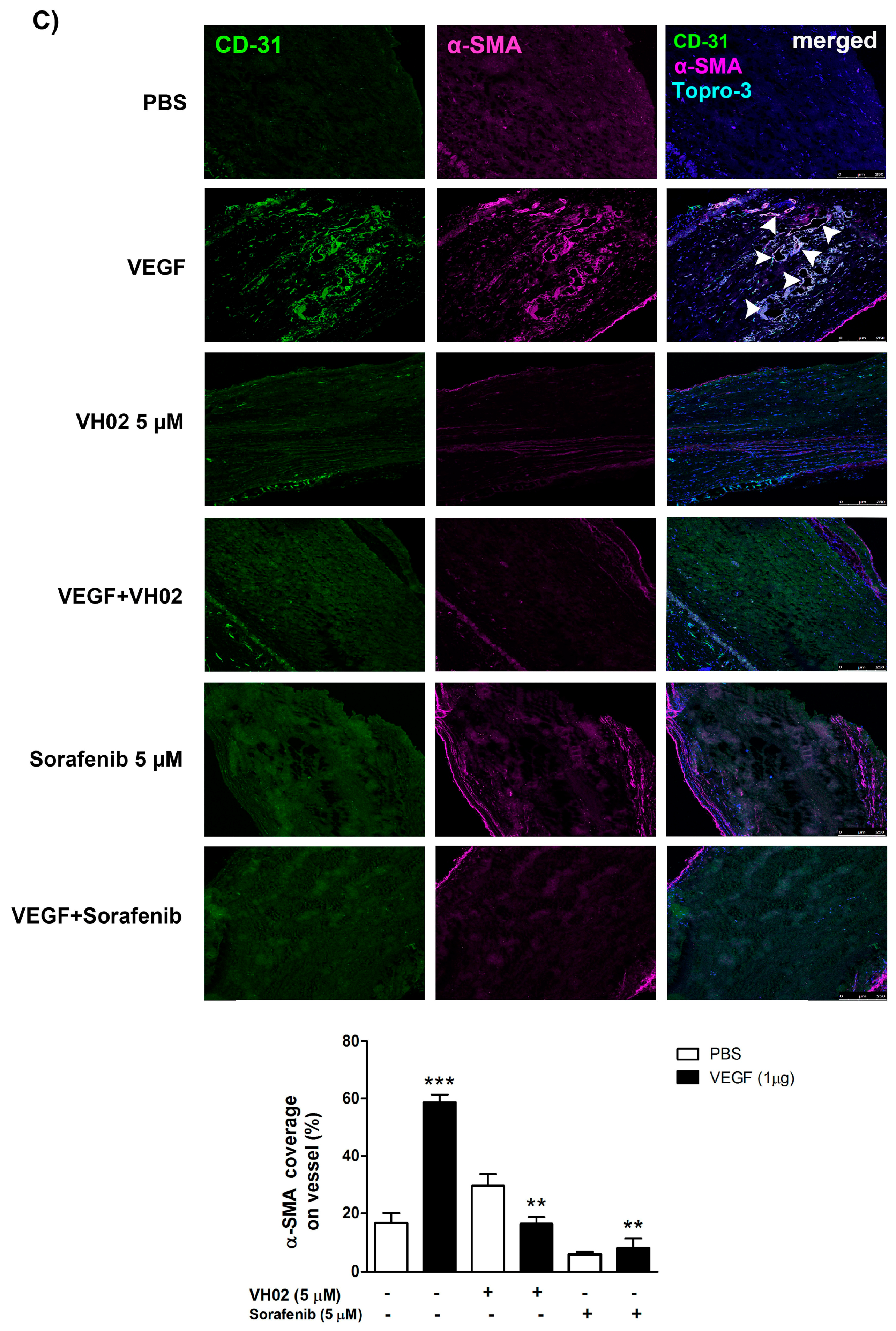 Molecules 21 01258 g007b 550