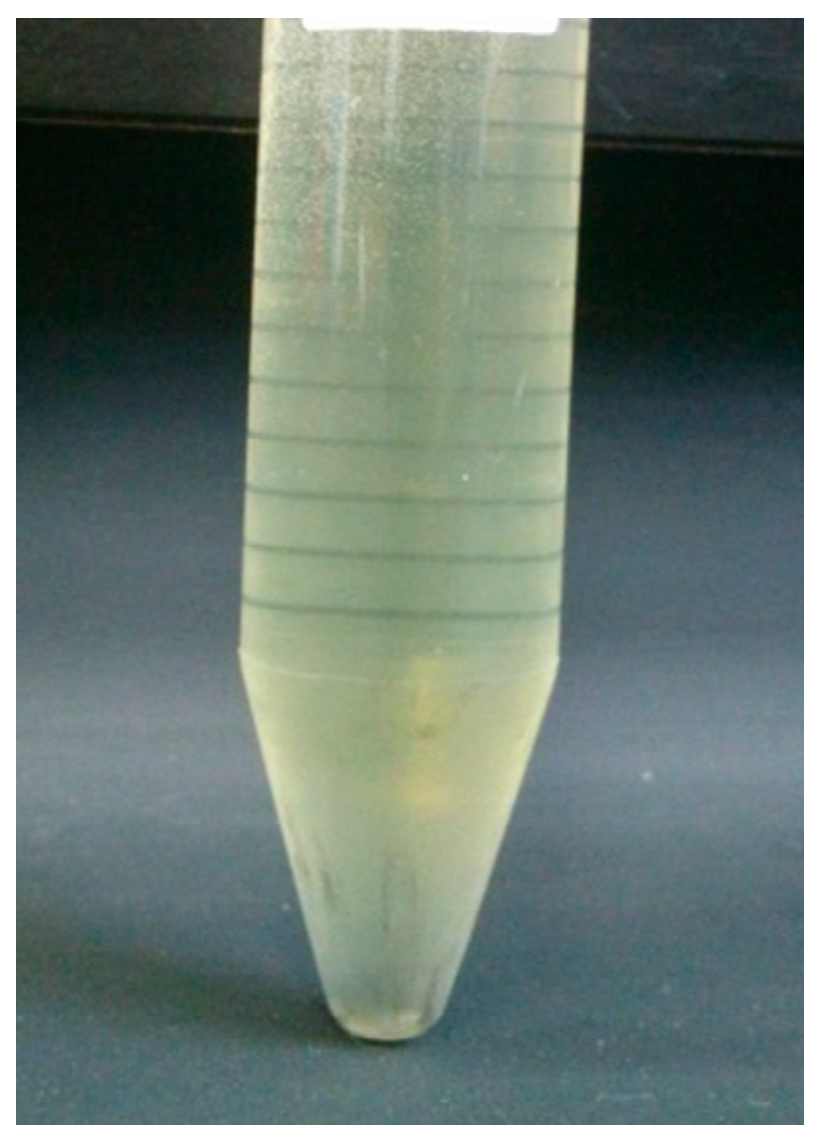 Molecules 21 01265 g007