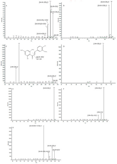 5 R-clip ~ varietà di formati: 2 4 3 6mm