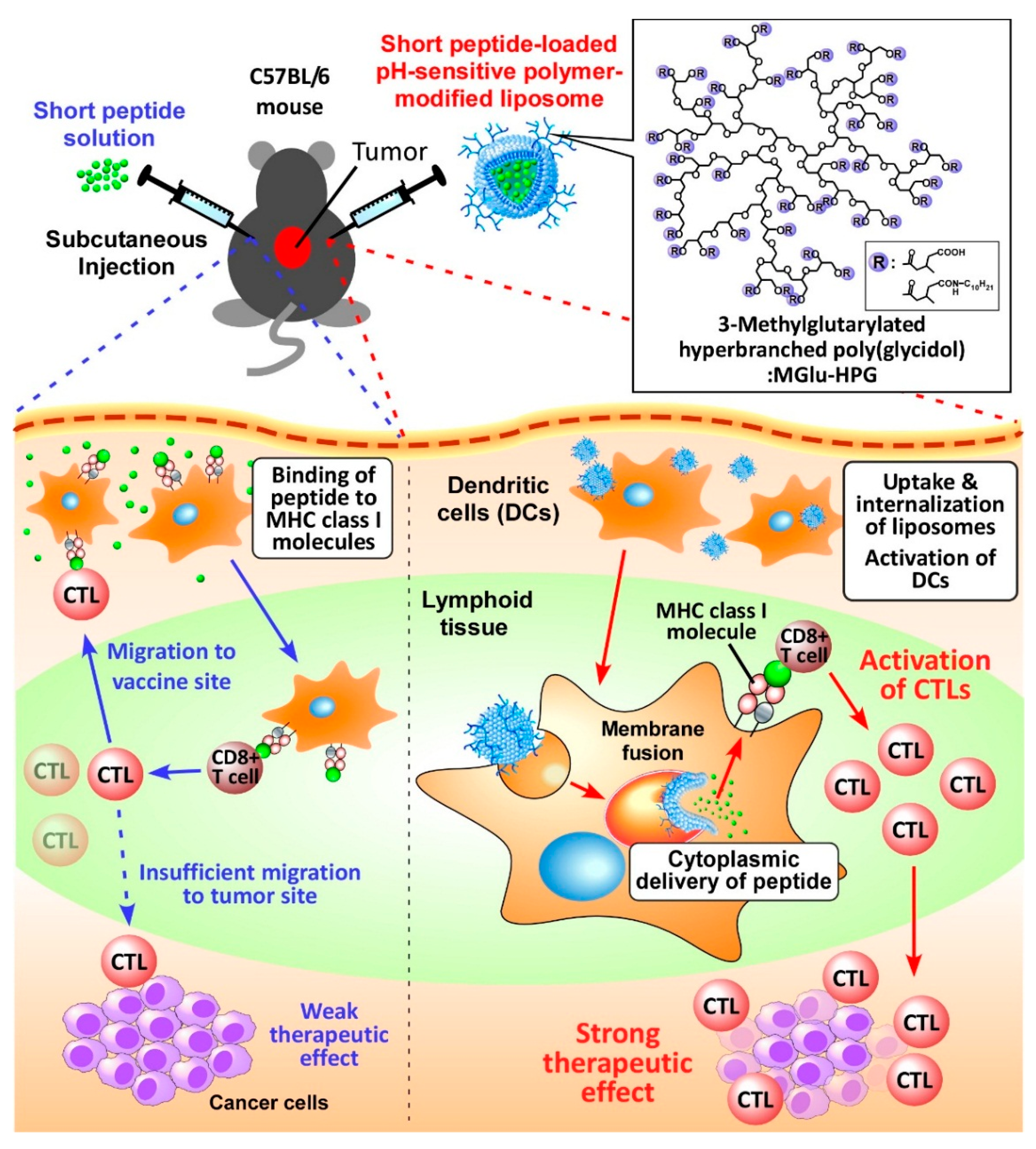 Molecules 21 01284 g001