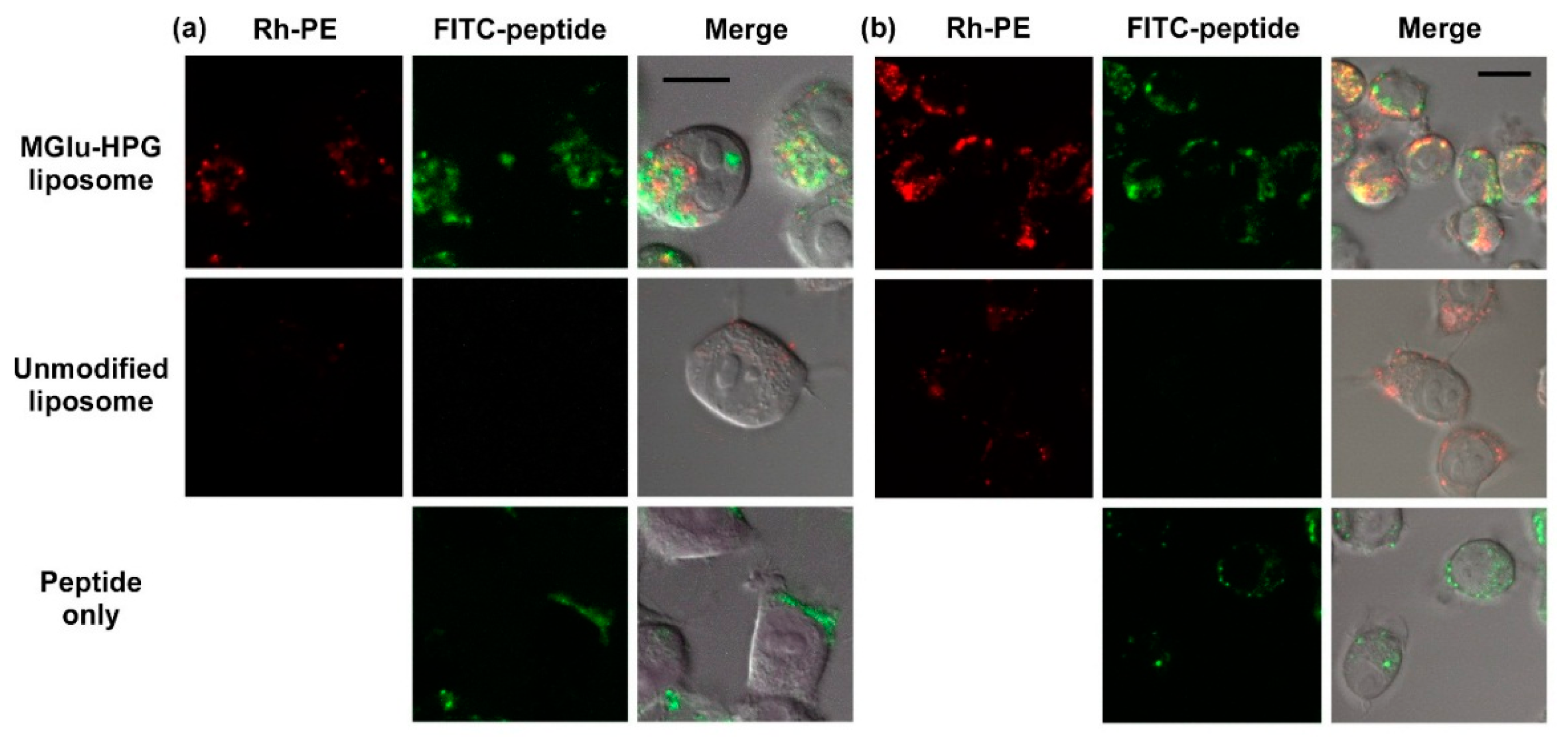 Molecules 21 01284 g003