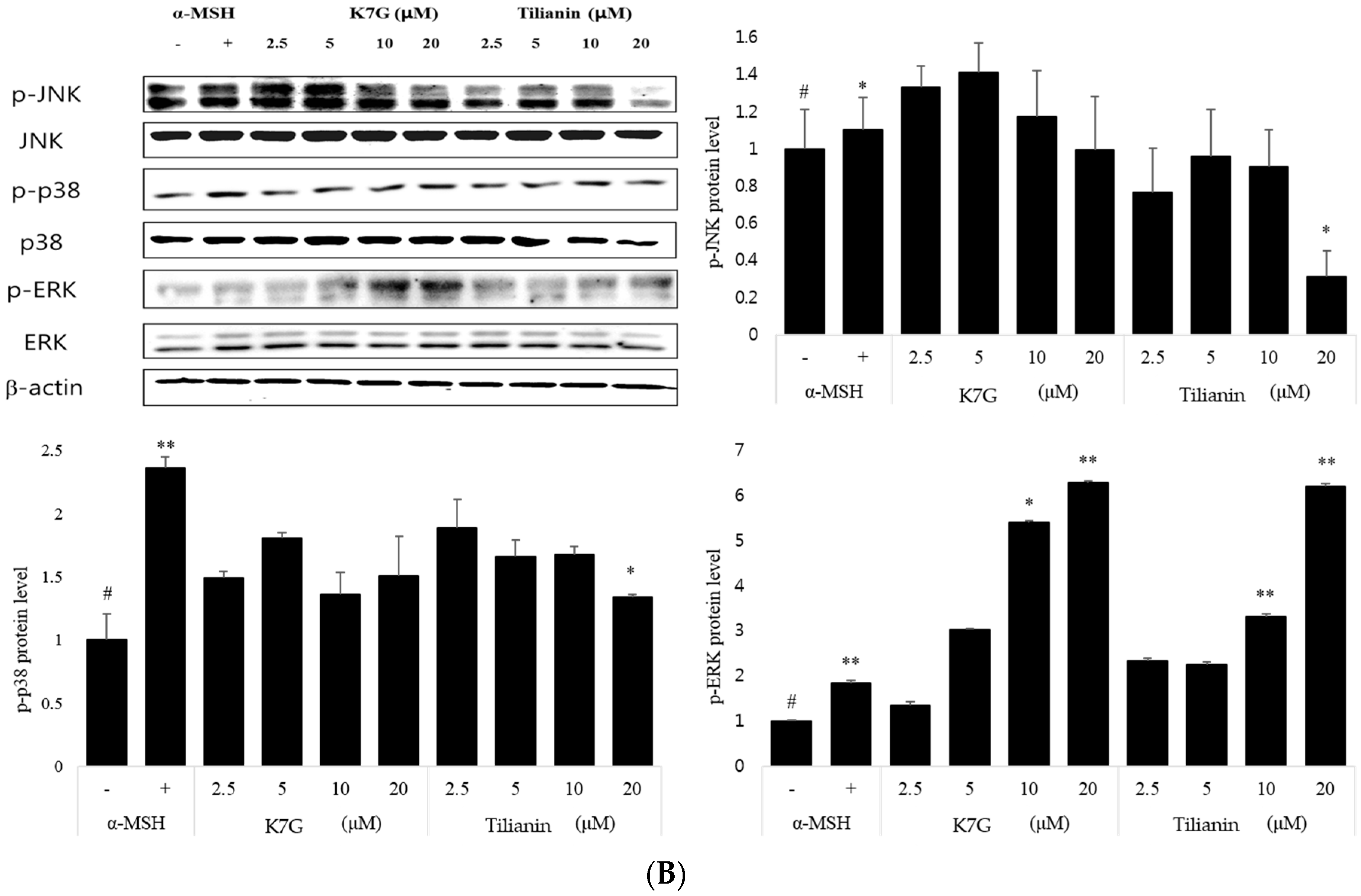 Molecules 21 01296 g005b 550