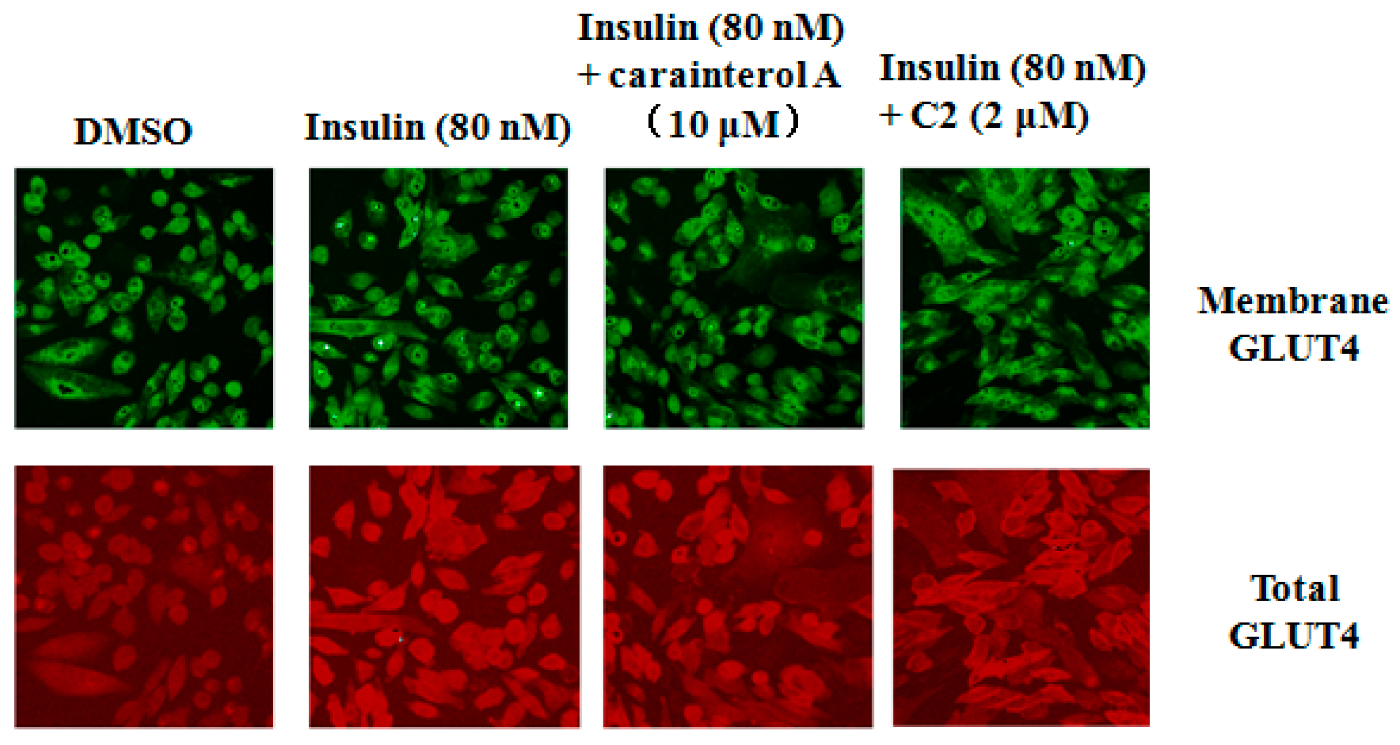 Molecules 21 01303 g005