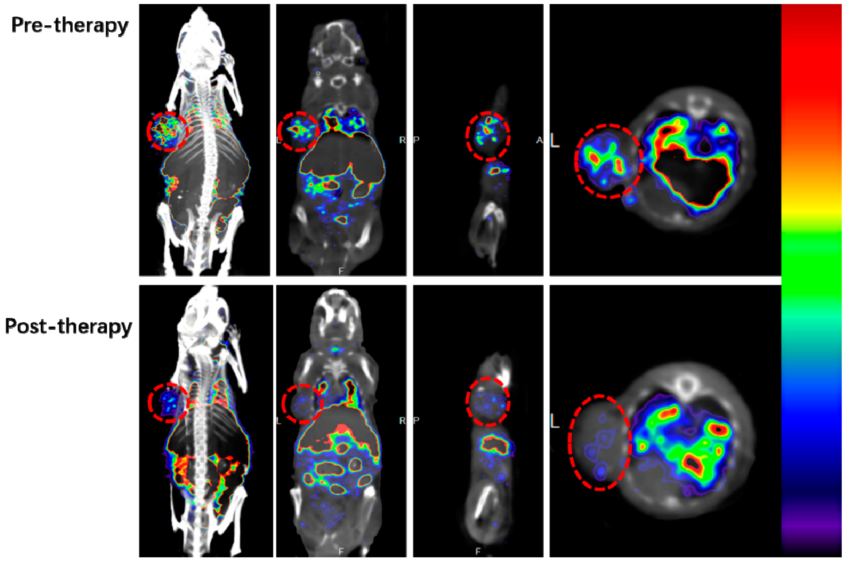 Molecules 21 01308 g004