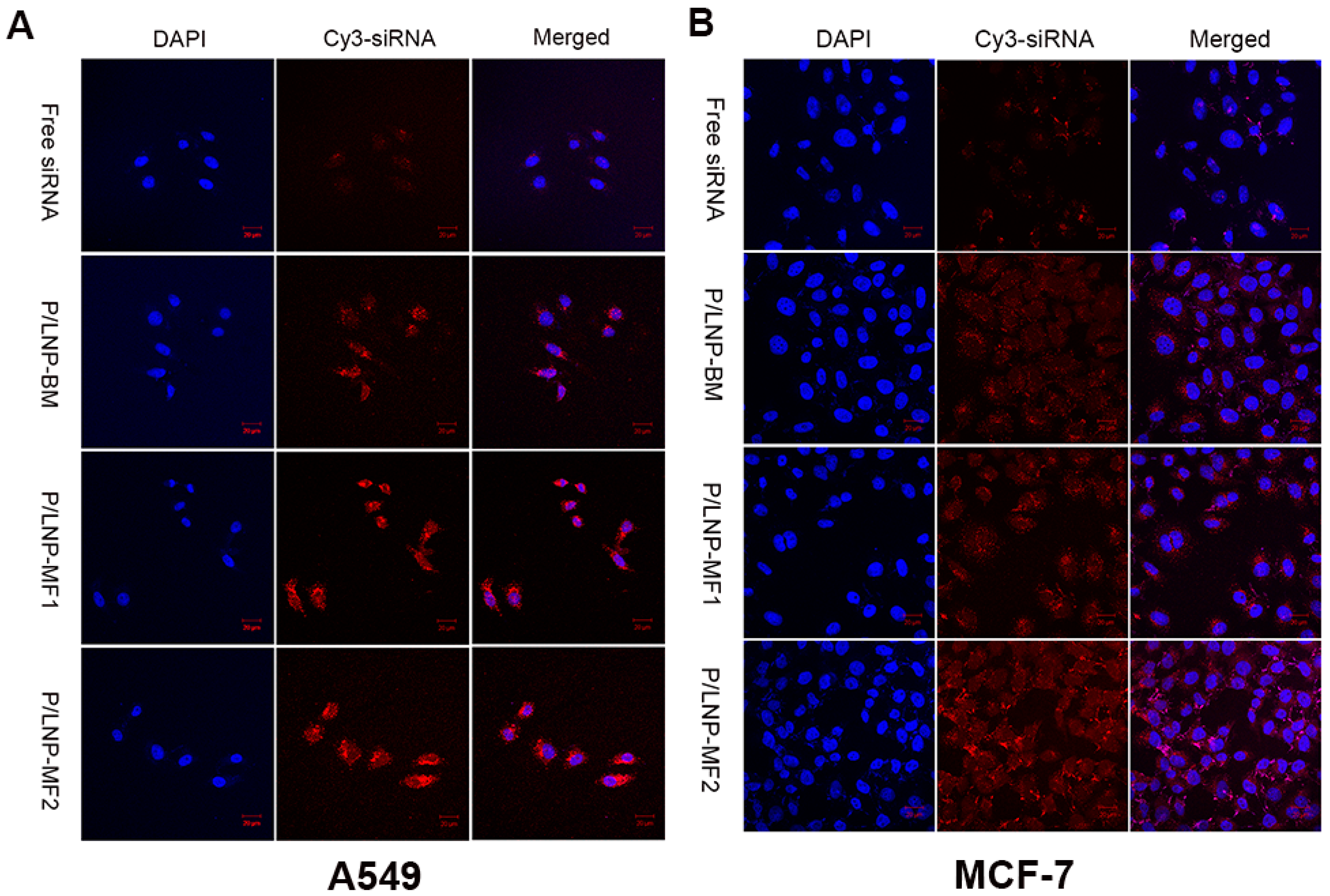 Molecules 21 01314 g005