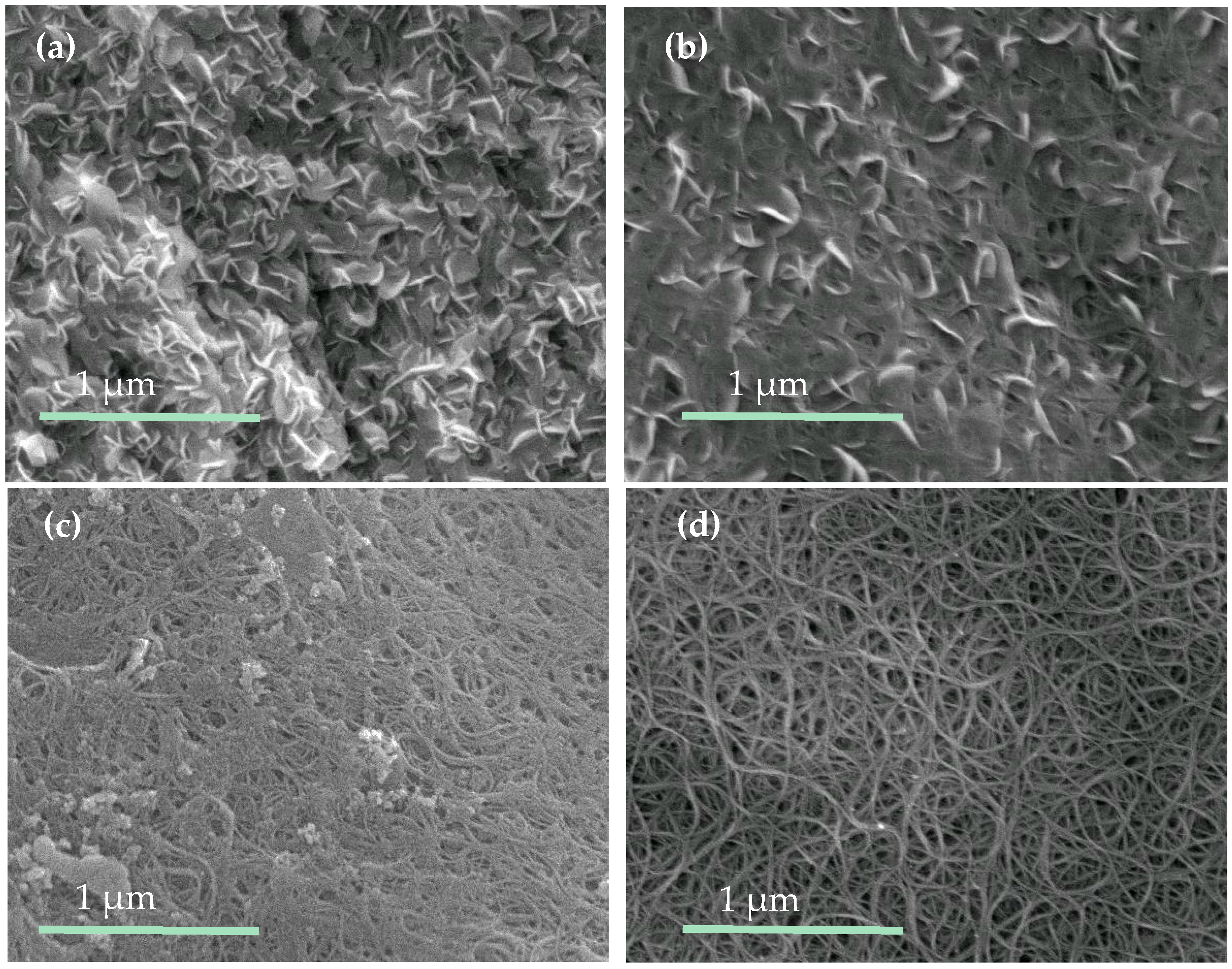 Molecules 21 01318 g002 550