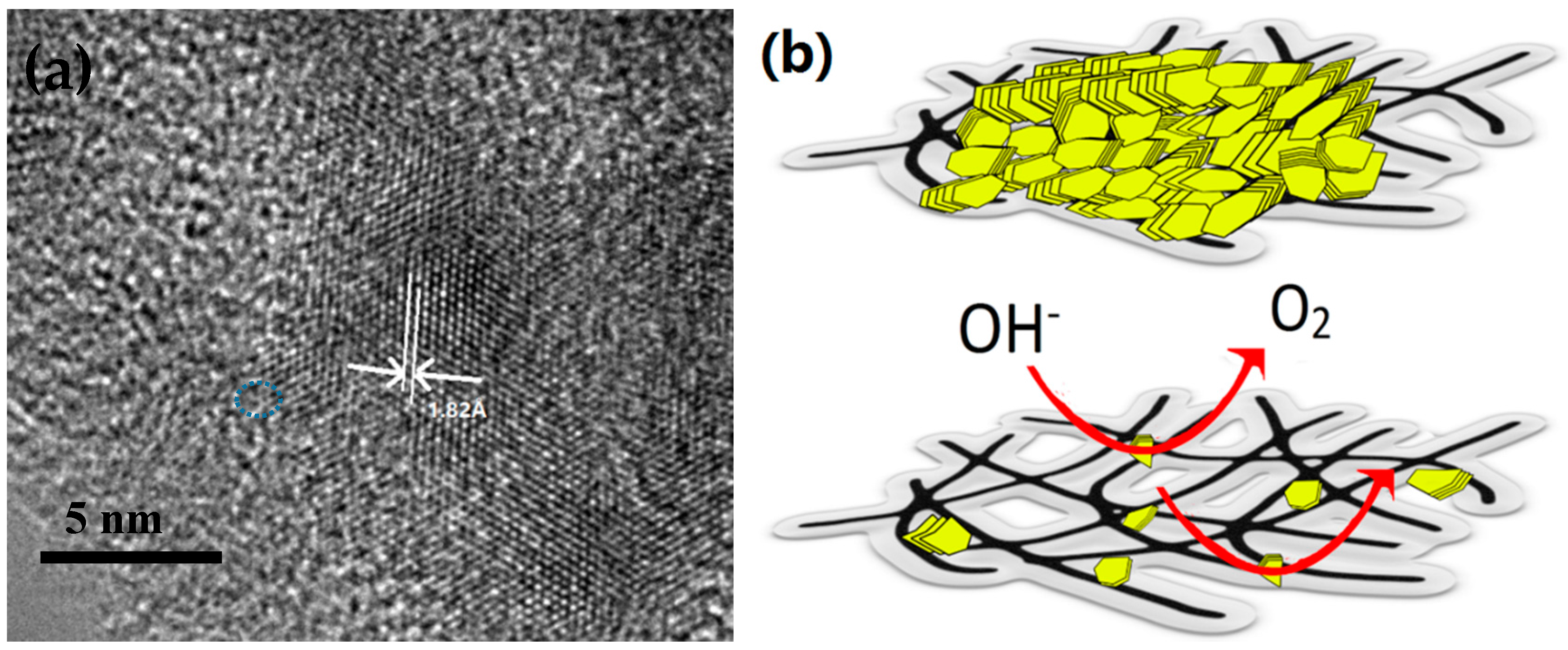 Molecules 21 01318 g006 550