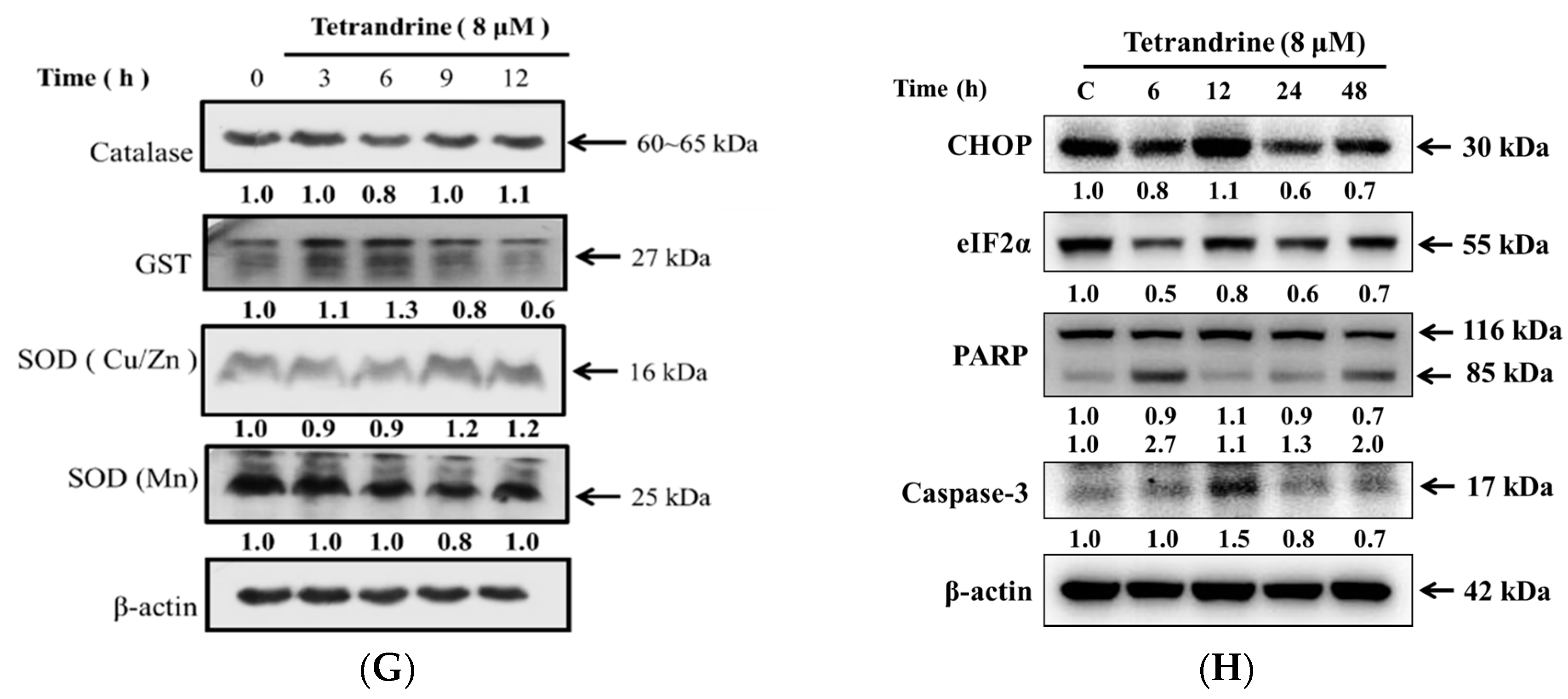 Molecules 21 01353 g005b