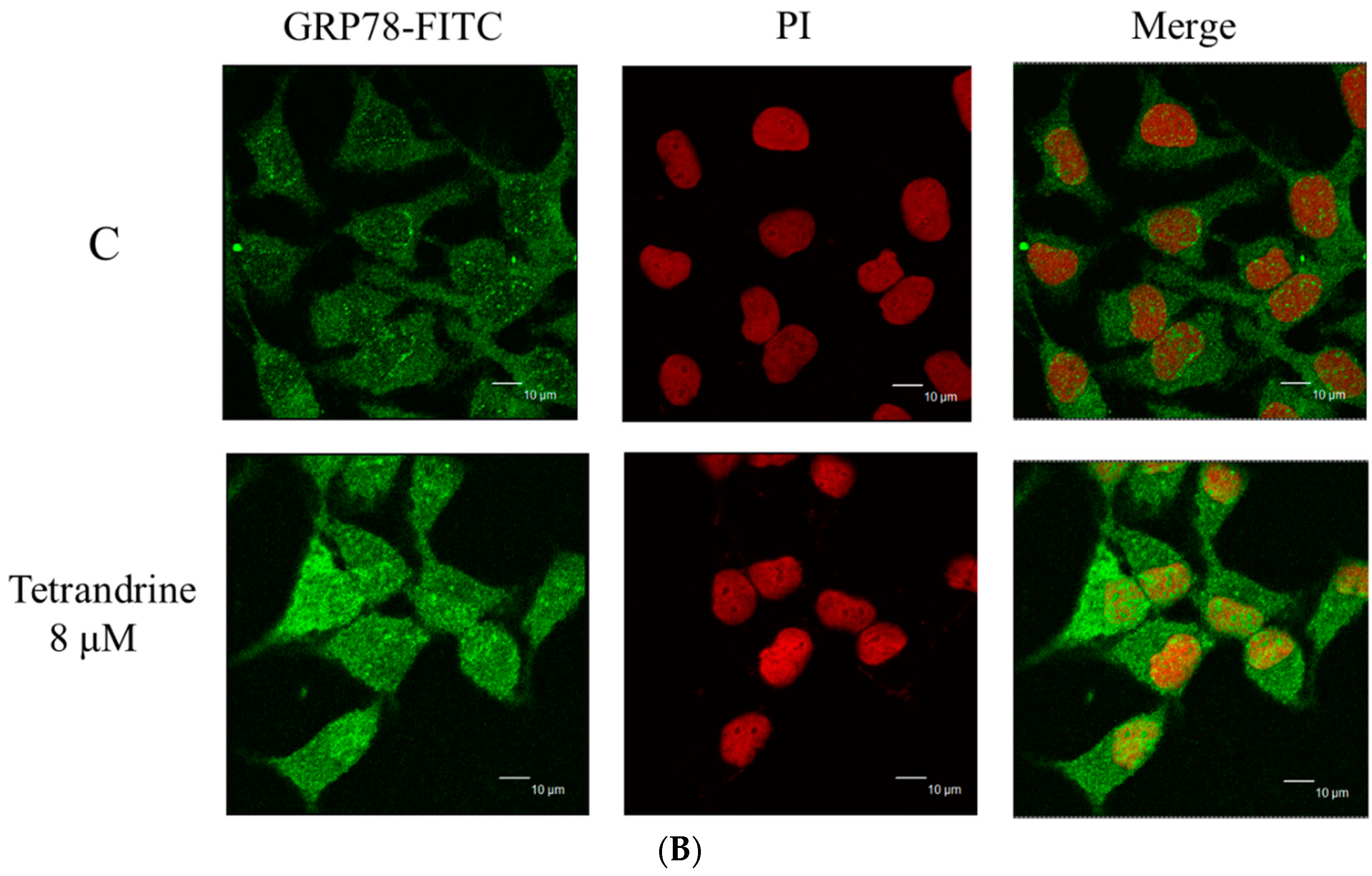 Molecules 21 01353 g006b