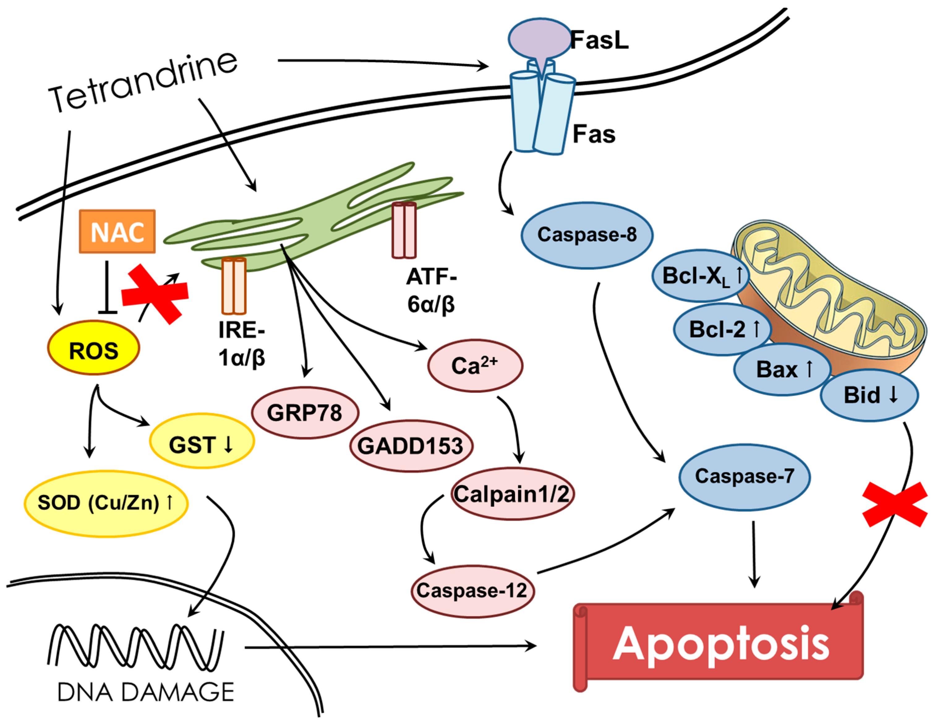 Molecules 21 01353 g007
