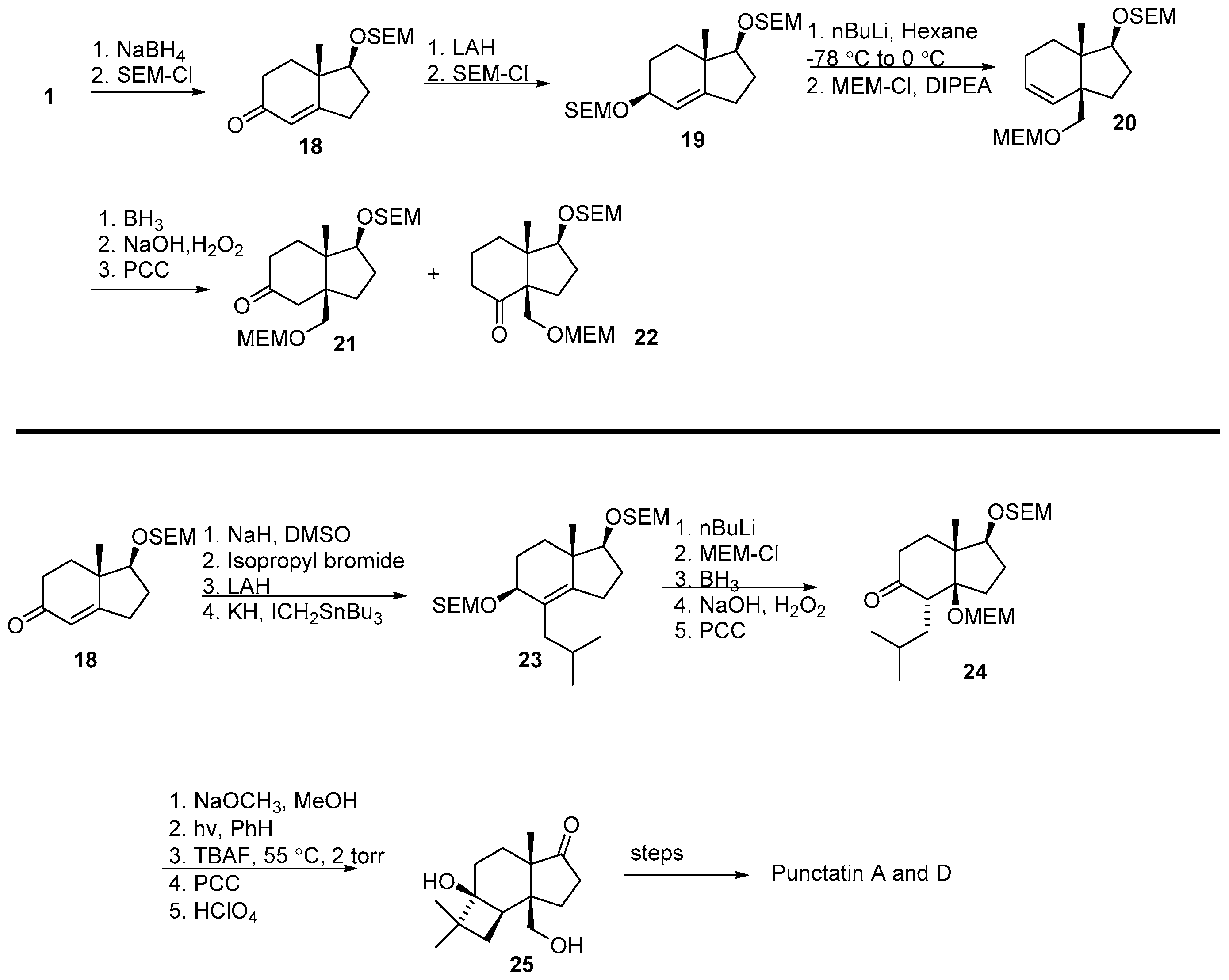 Molecules 21 01358 sch004 550