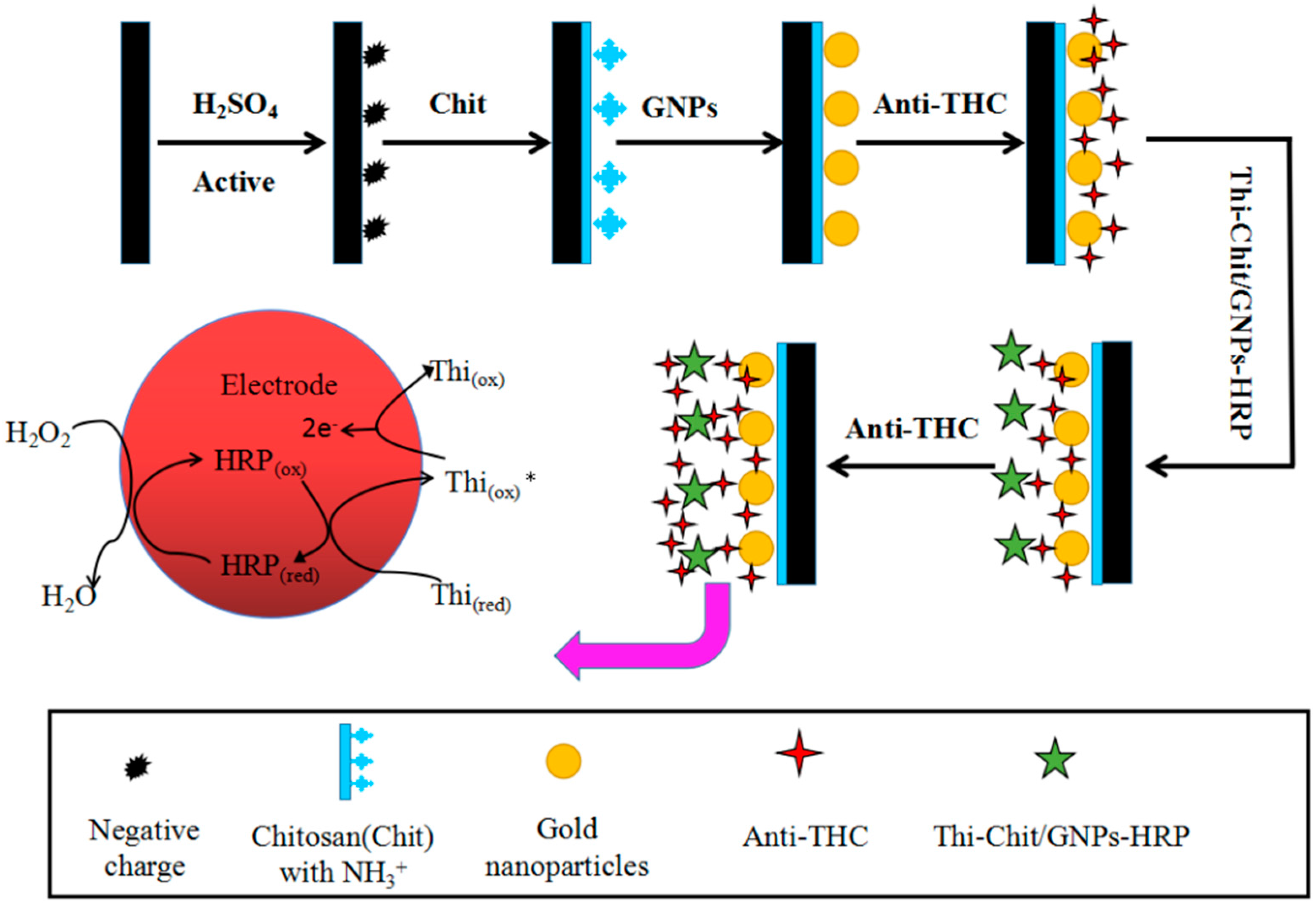 Molecules 21 01377 g008 550
