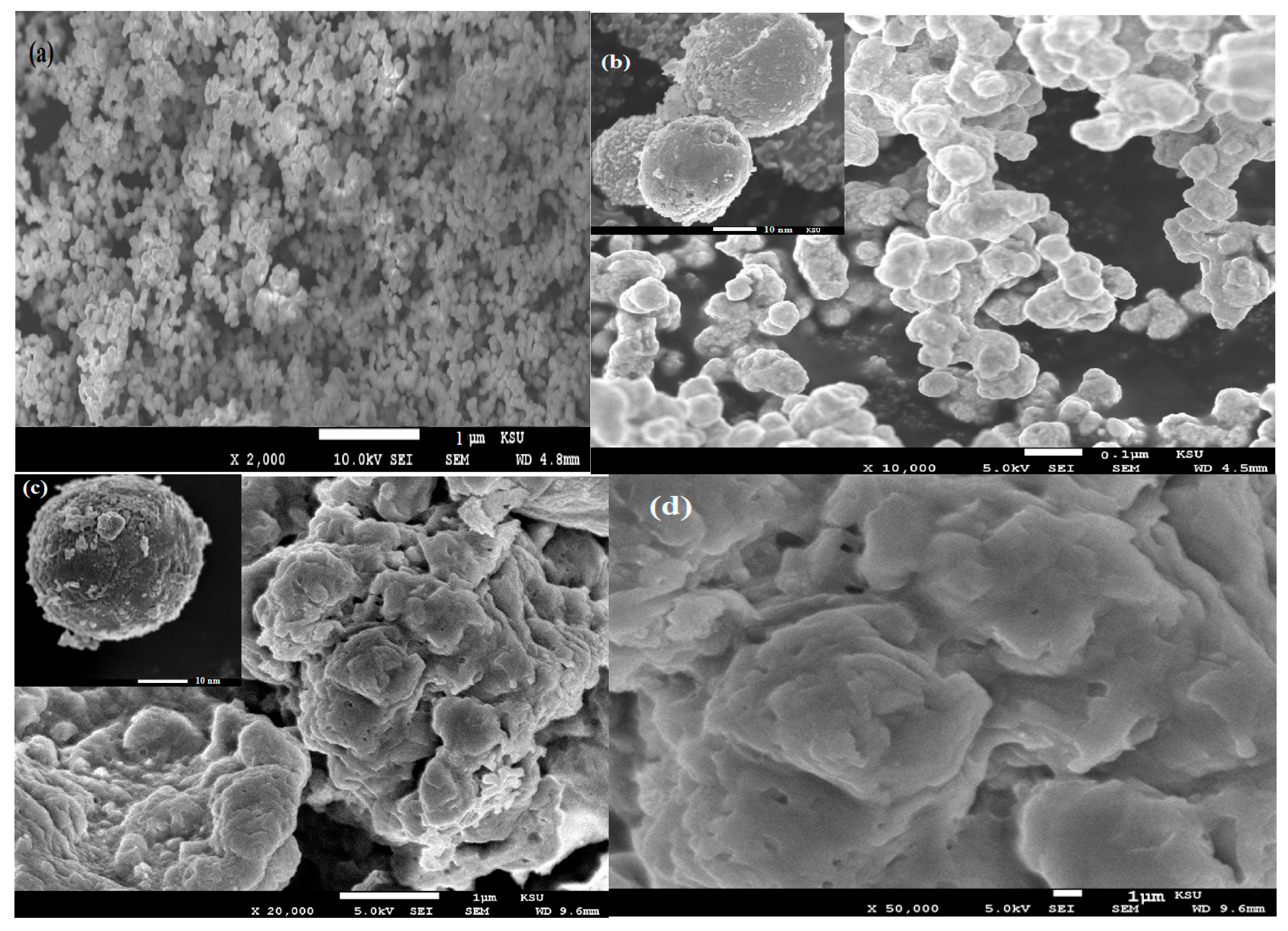 Molecules 21 01392 g001