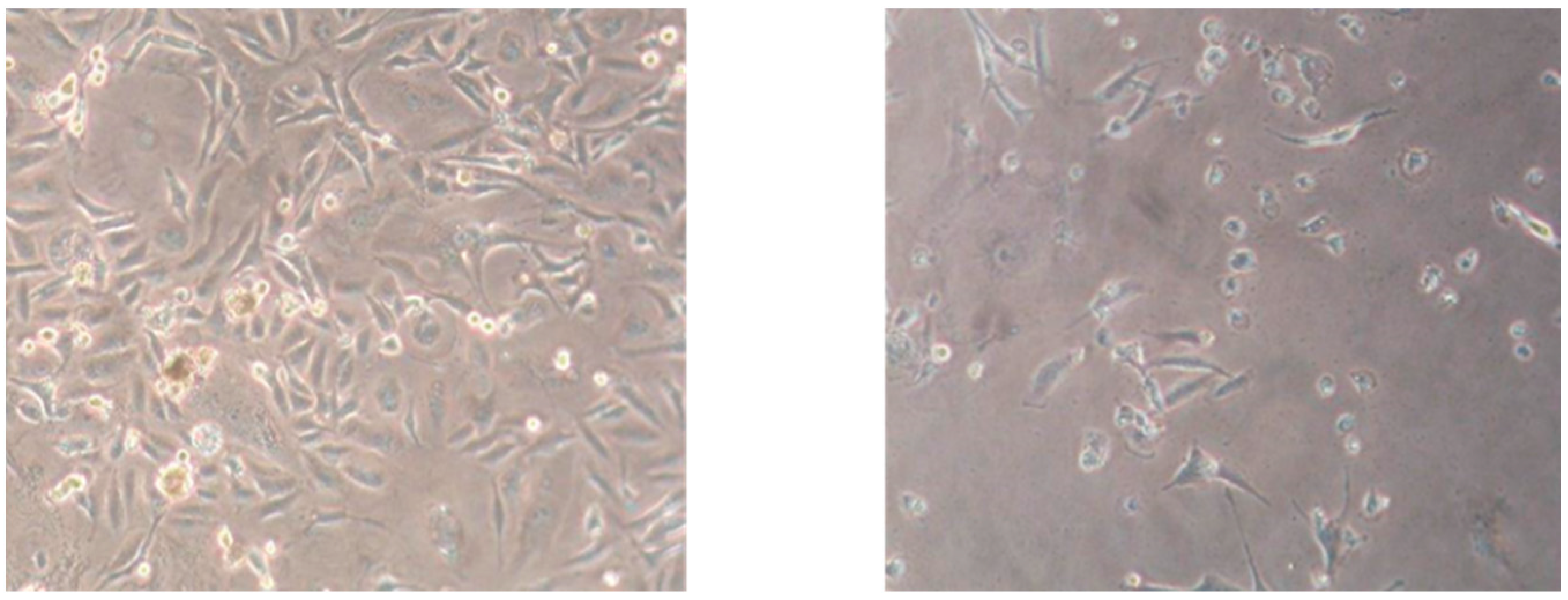Molecules 21 01405 g004 550