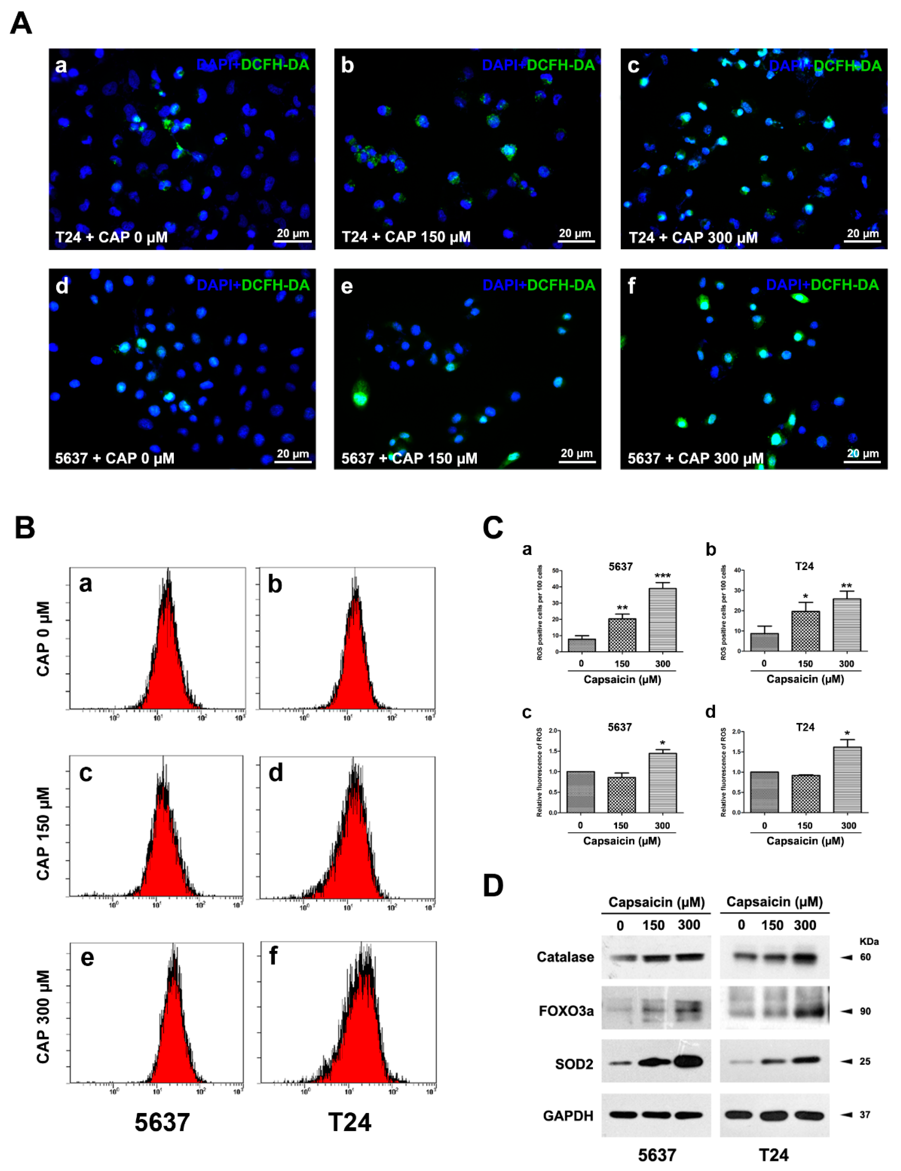 Molecules 21 01406 g002 550