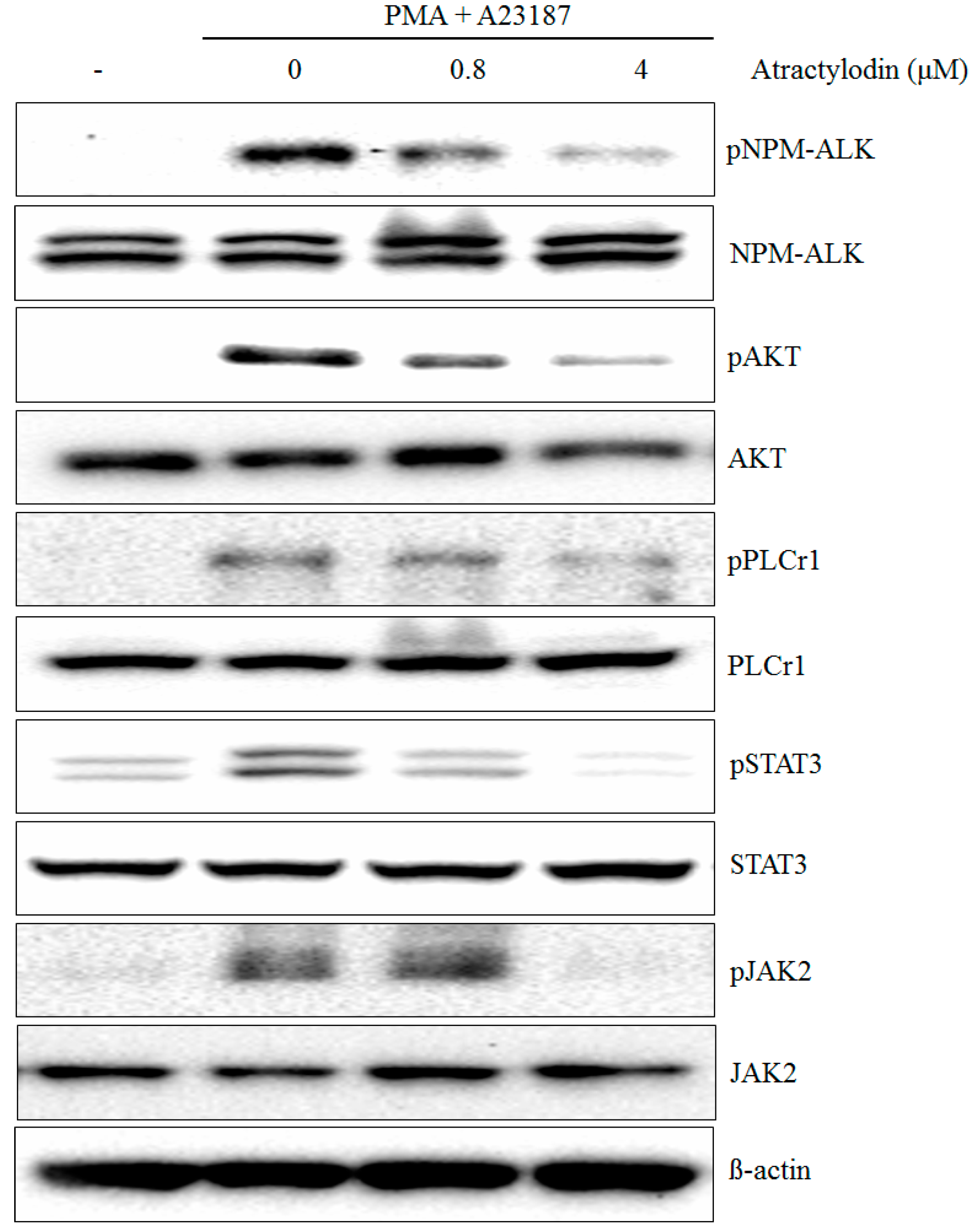 Molecules 21 01412 g001