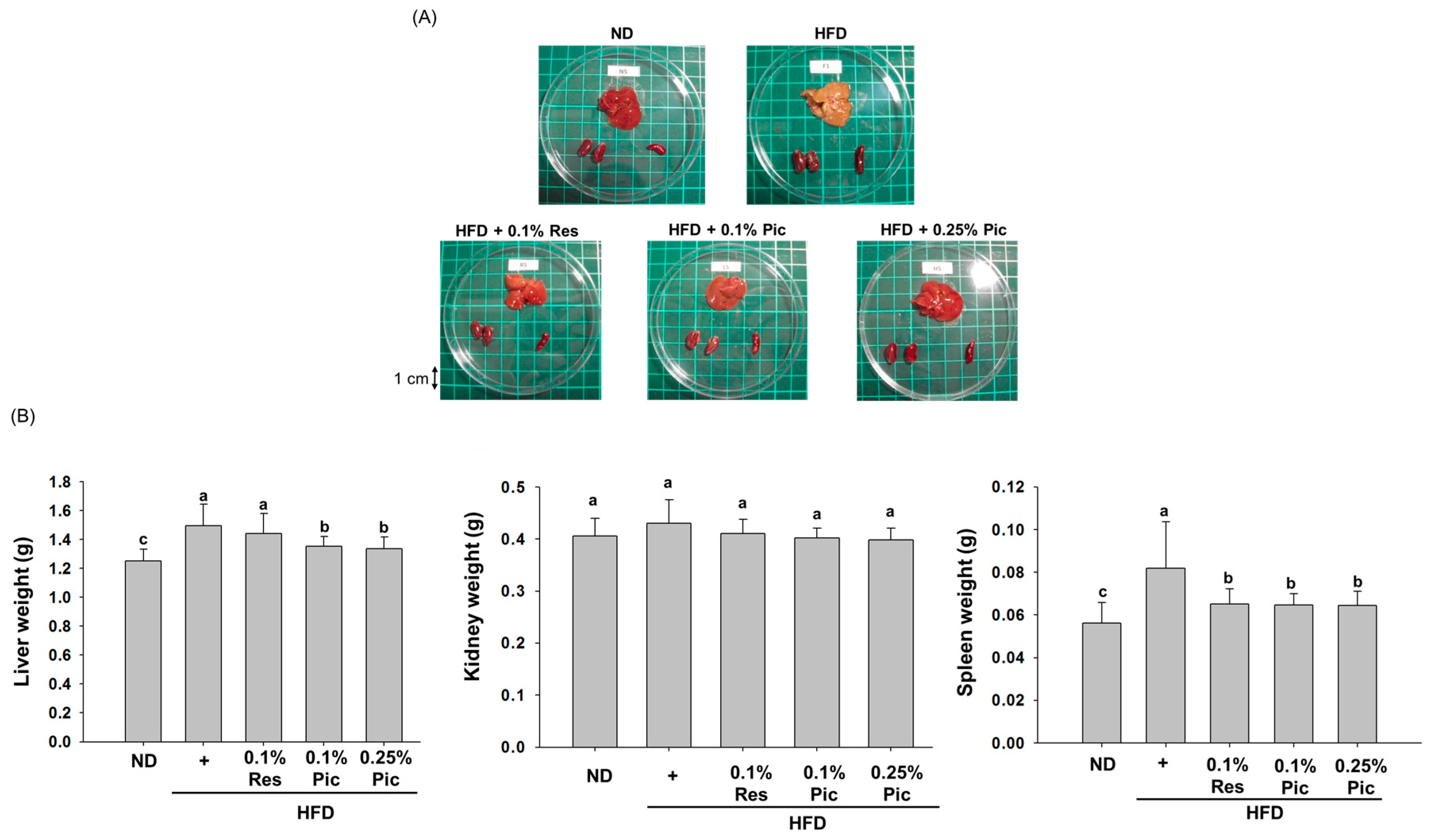 Molecules 21 01419 g005