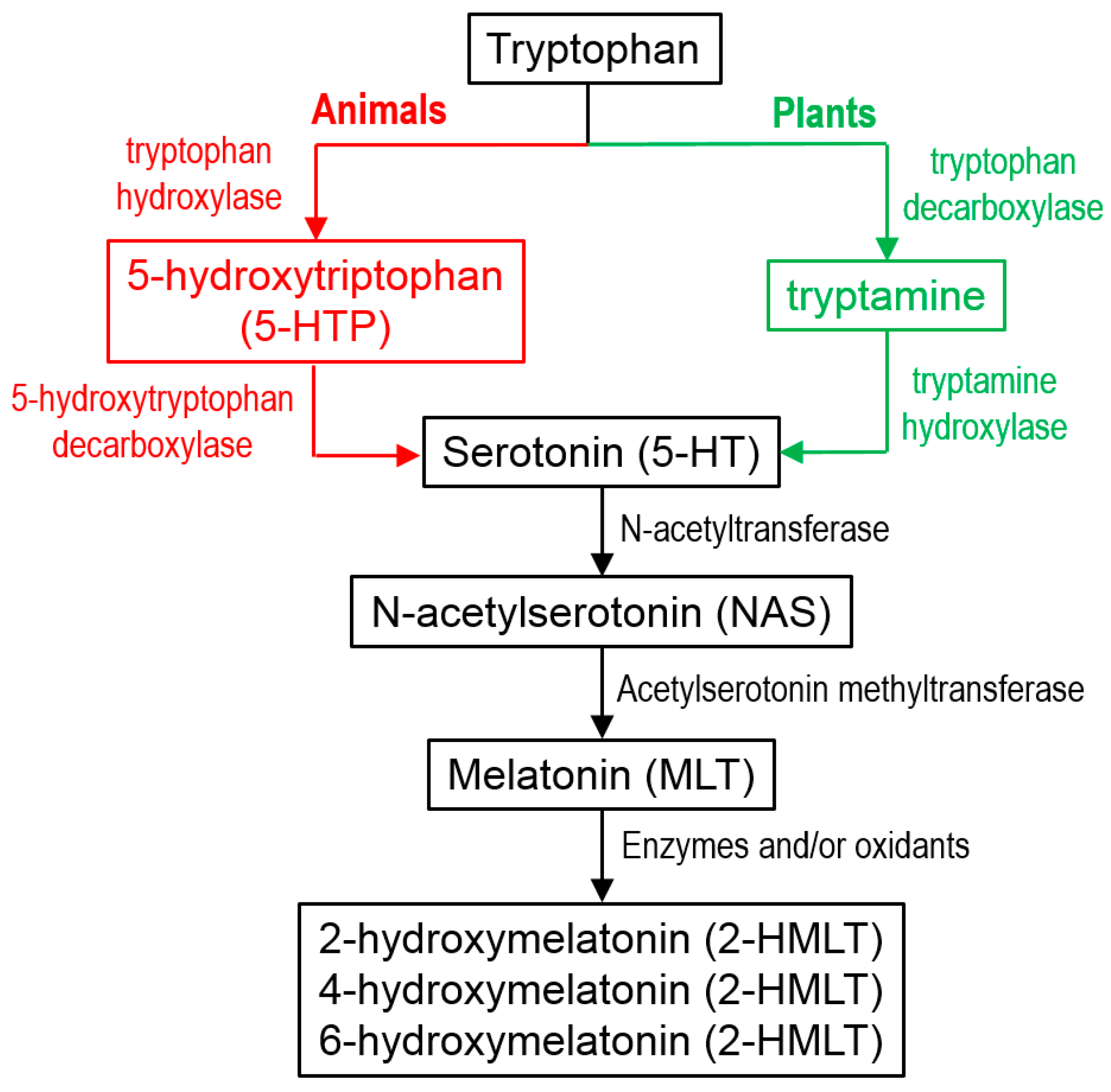 Molecules 21 01442 g003