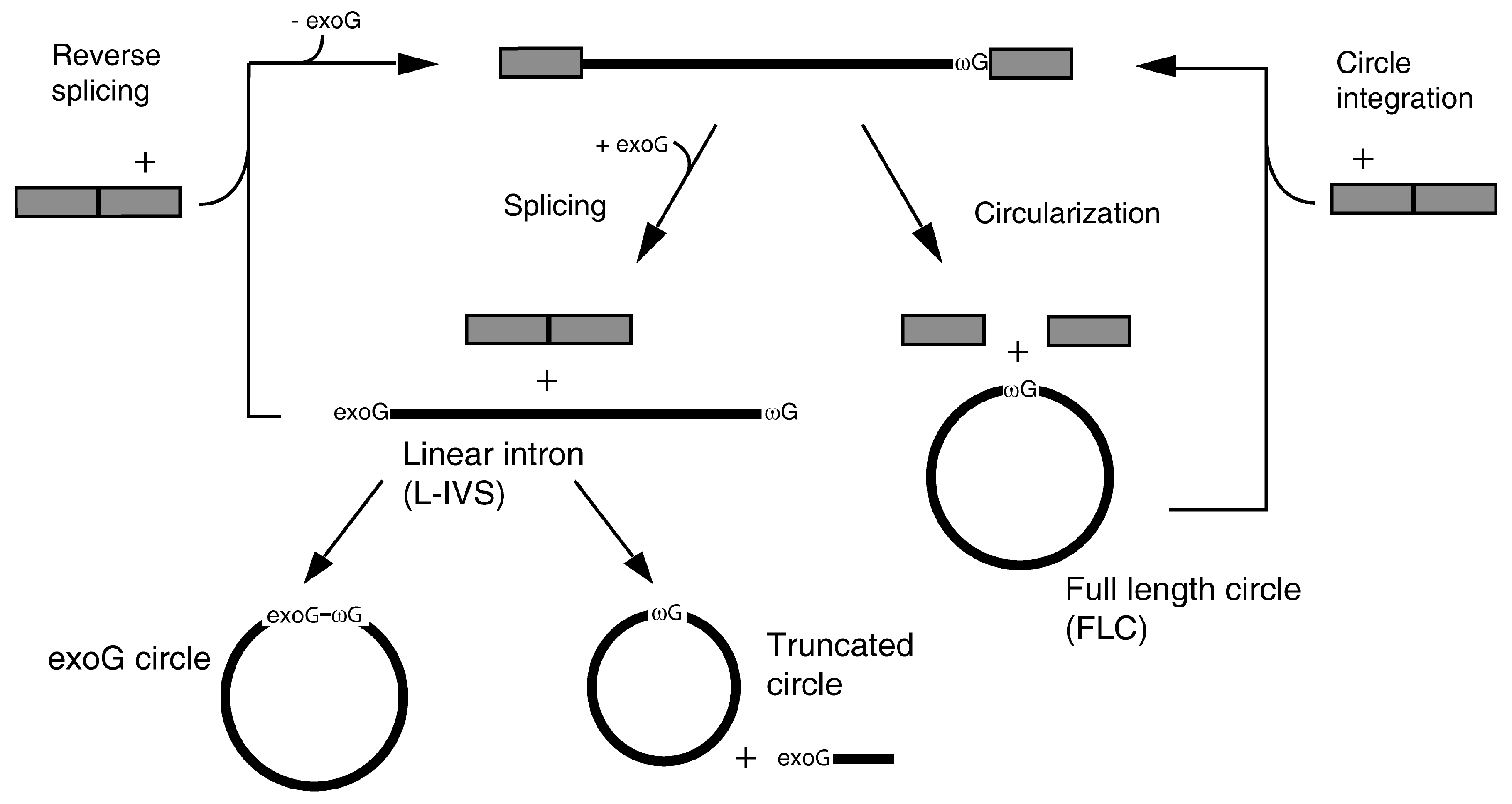 Molecules 21 01451 g001
