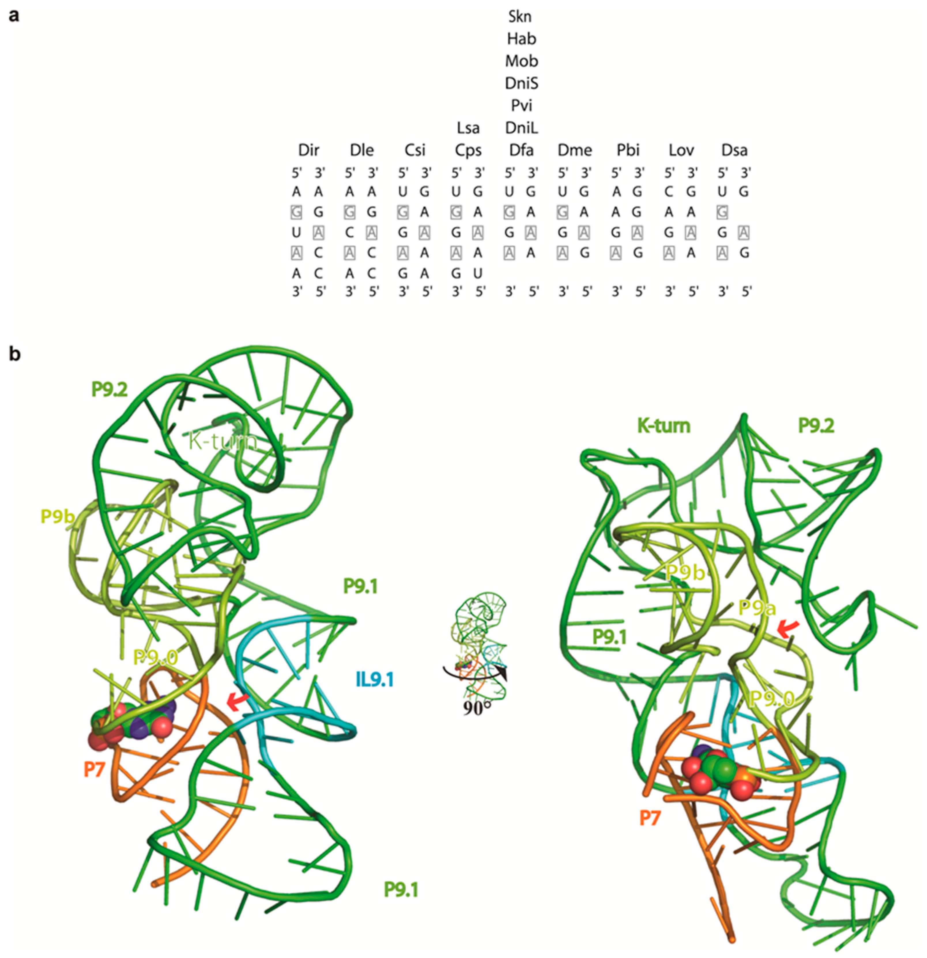 Molecules 21 01451 g005