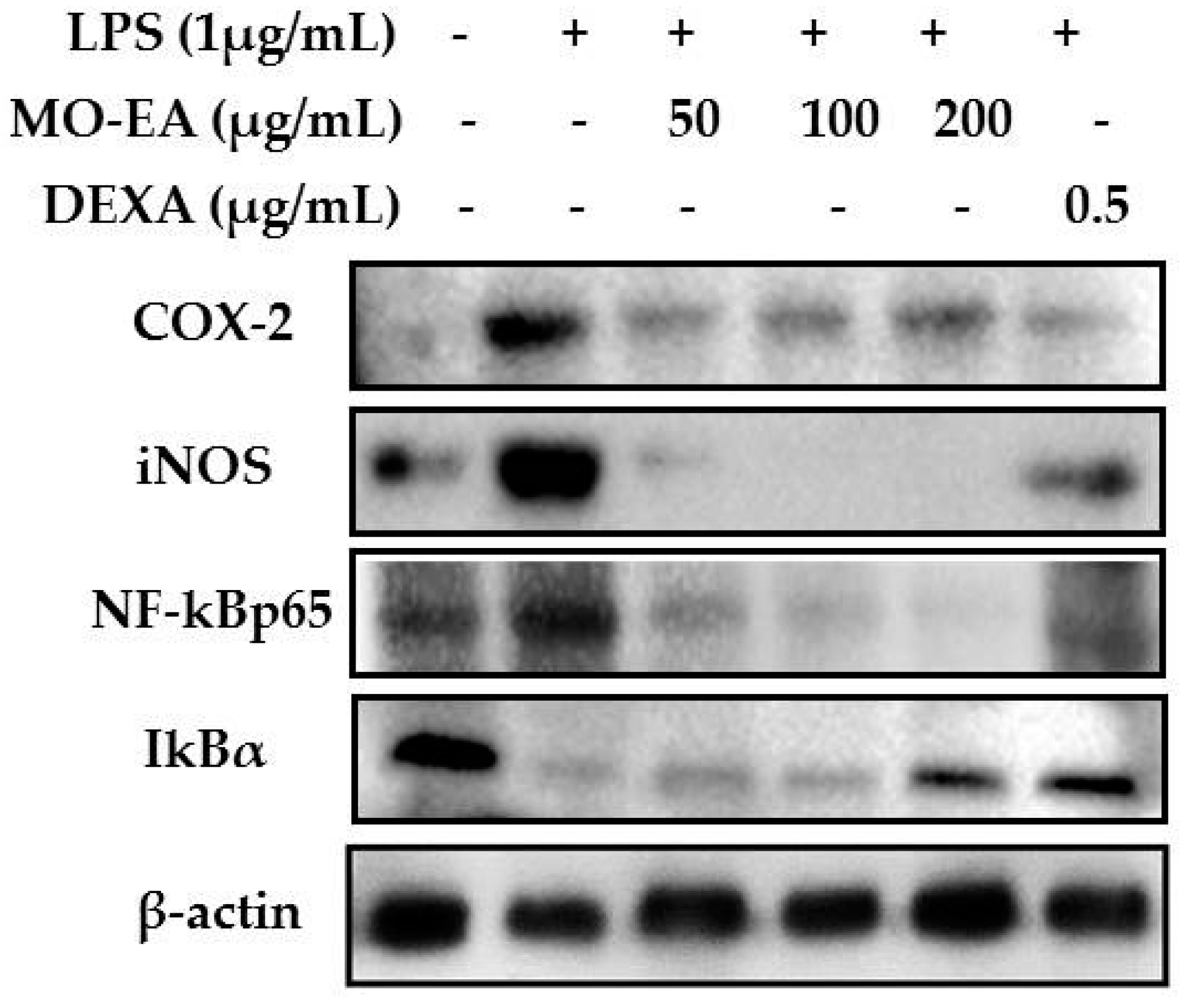 Molecules 21 01452 g004