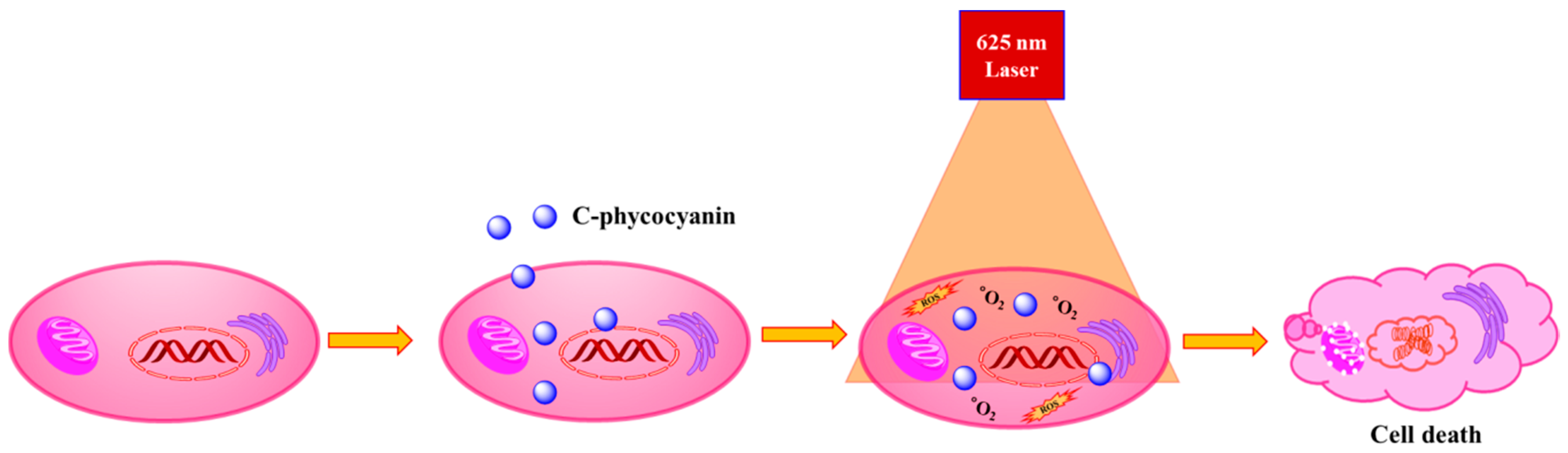Molecules 21 01470 sch001
