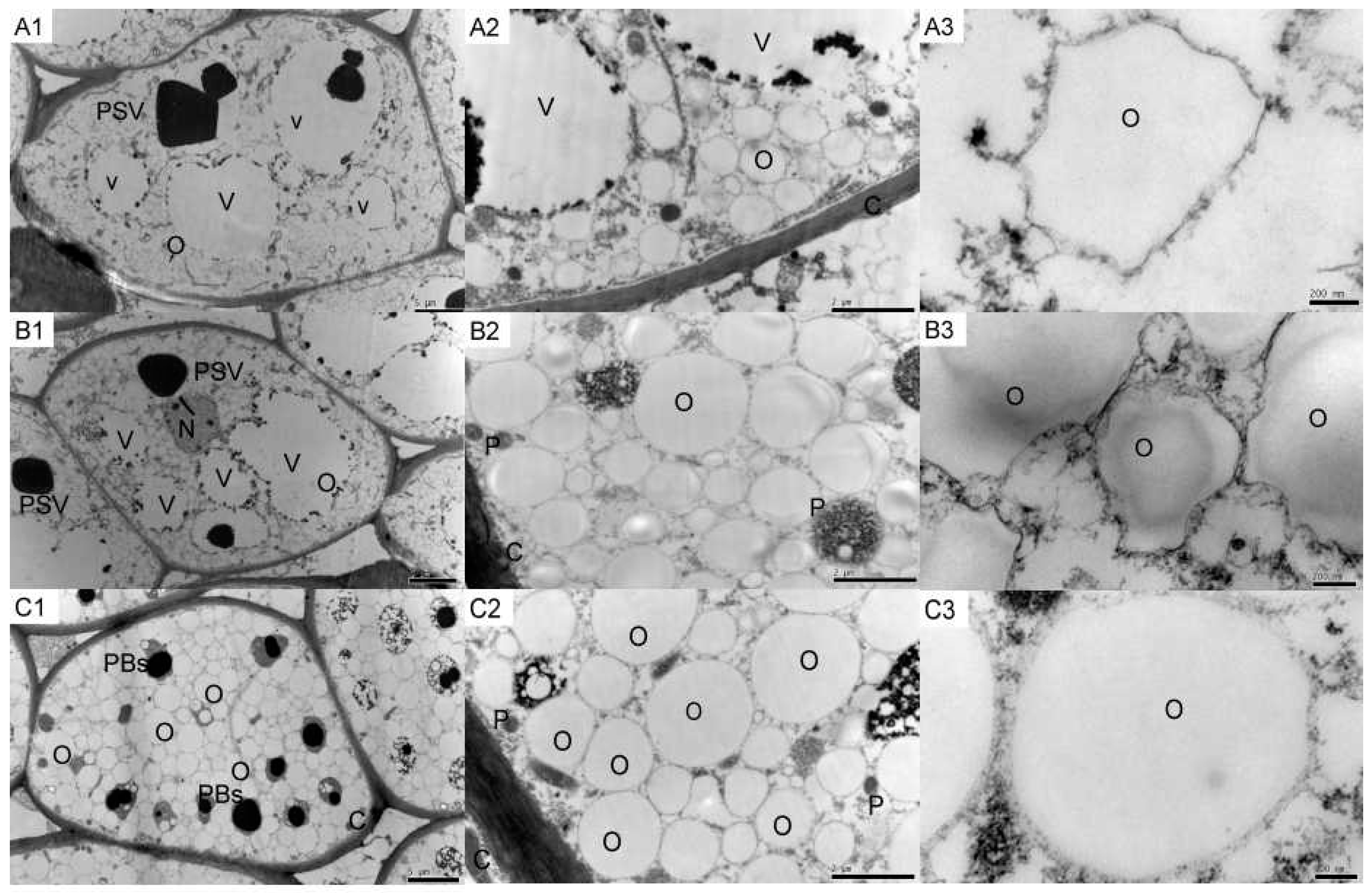 Molecules 21 01486 g001