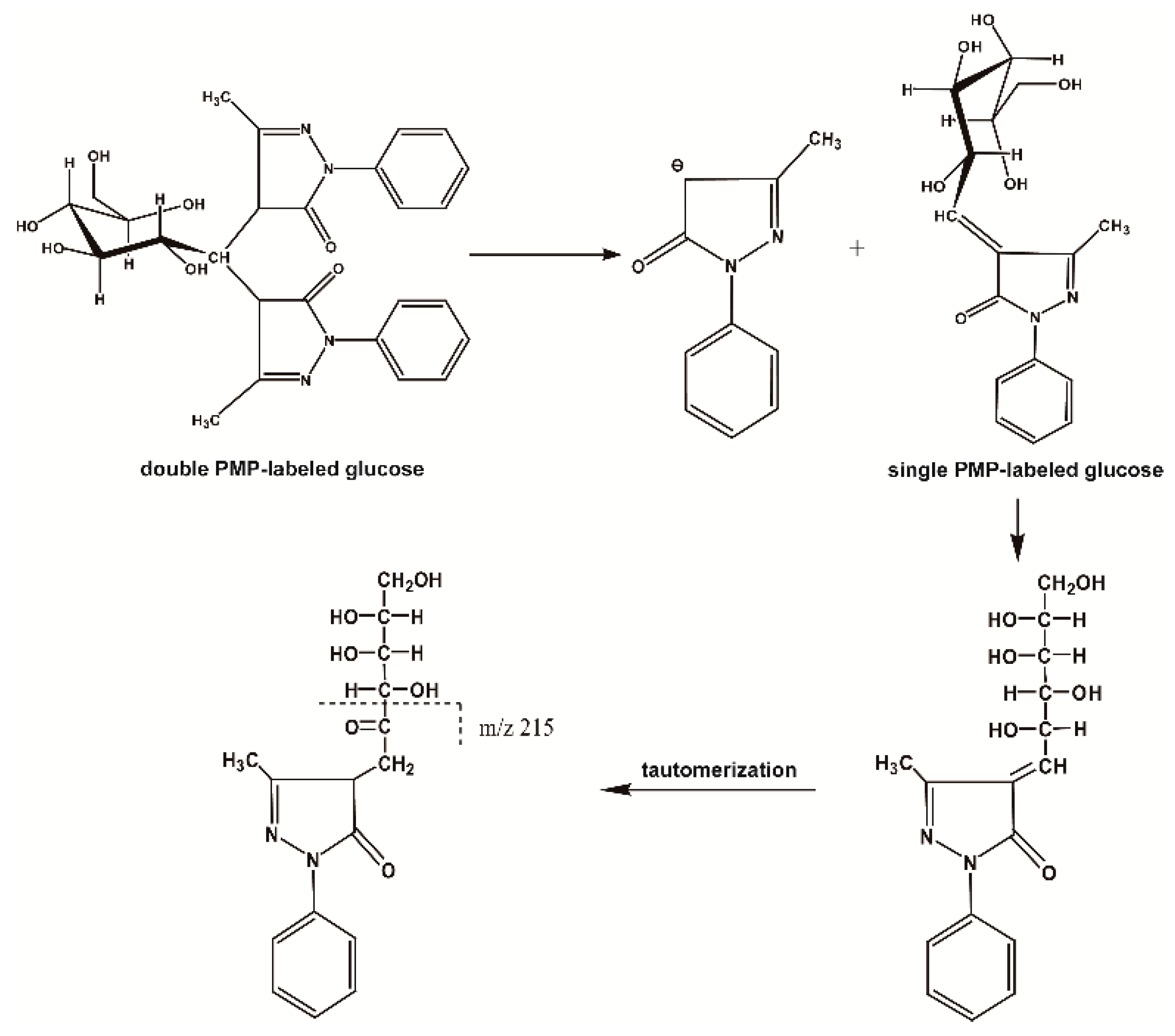 Molecules 21 01496 g004