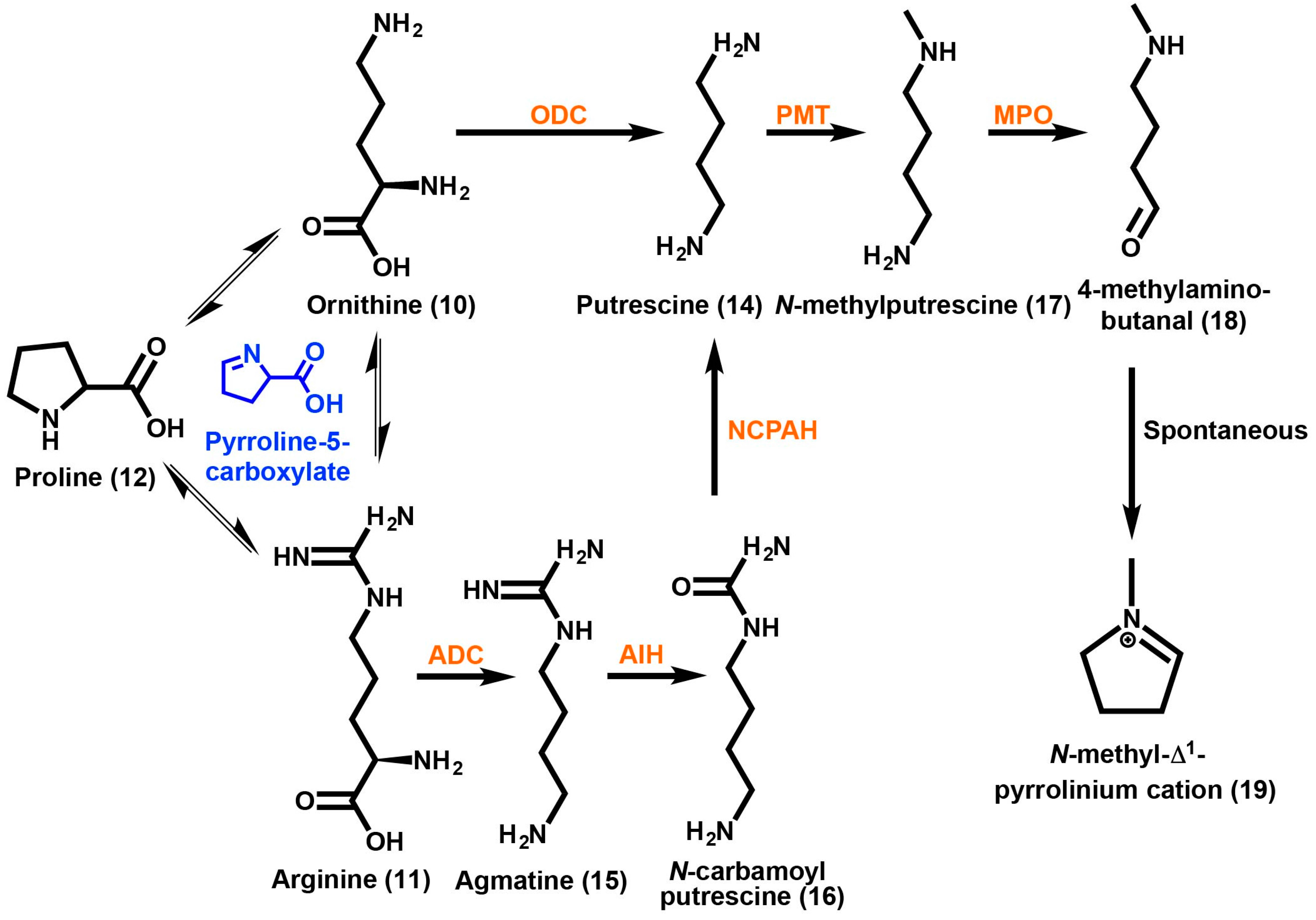 Molecules 21 01510 sch001