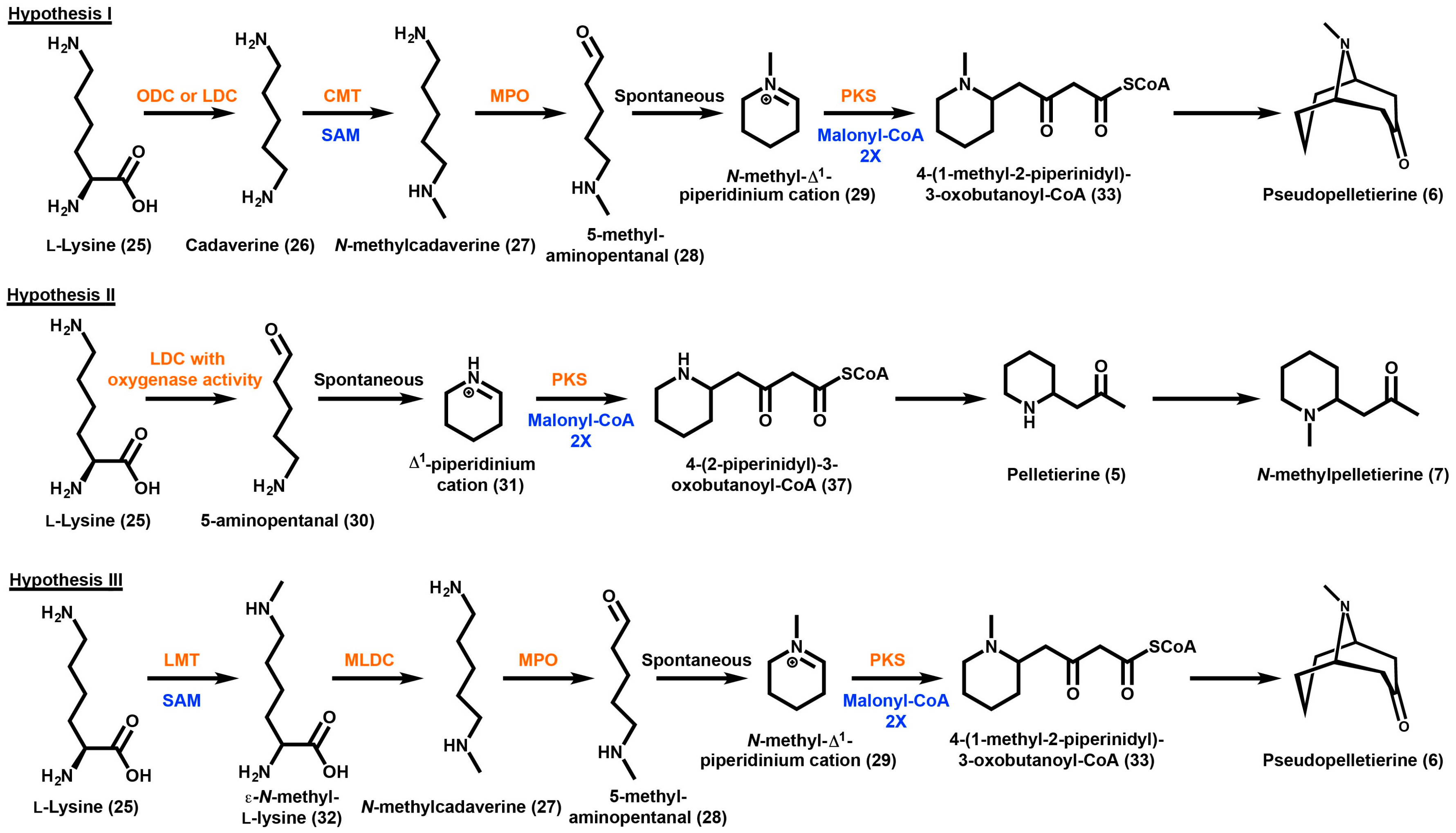 Molecules 21 01510 sch005