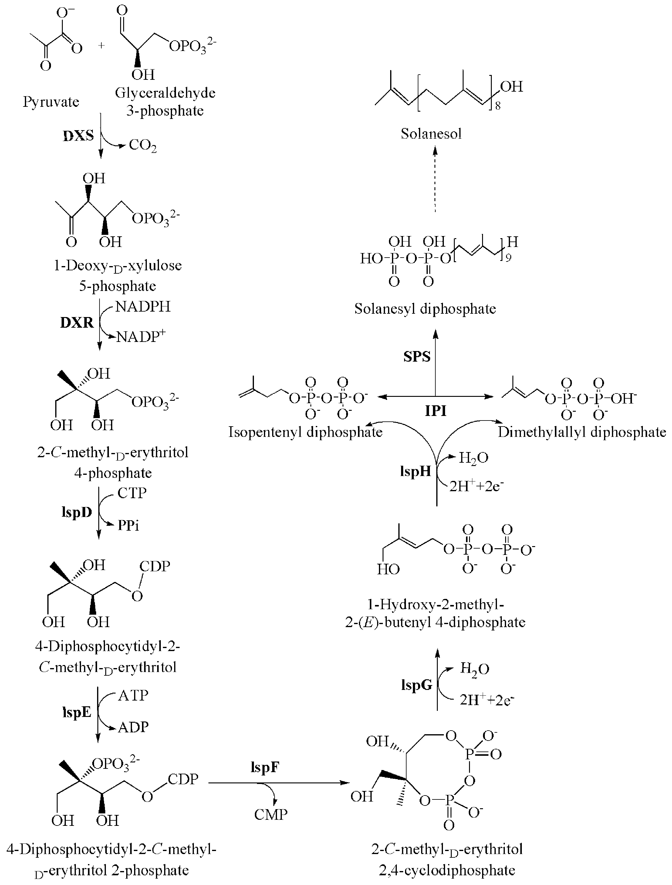 Molecules 21 01536 sch001 550