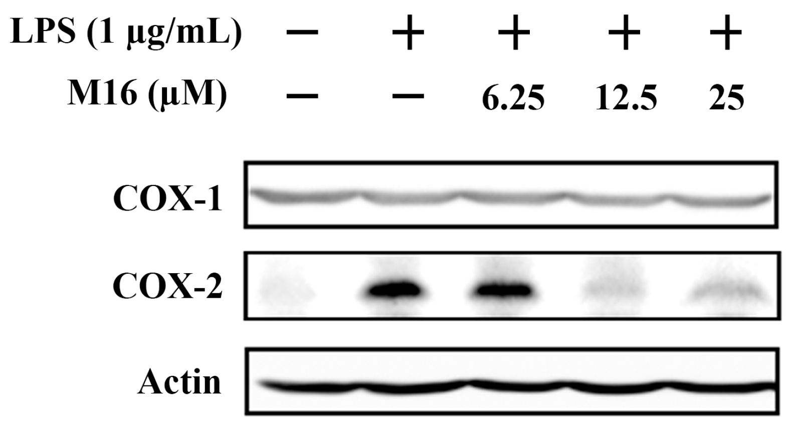 Molecules 21 01544 g004 550