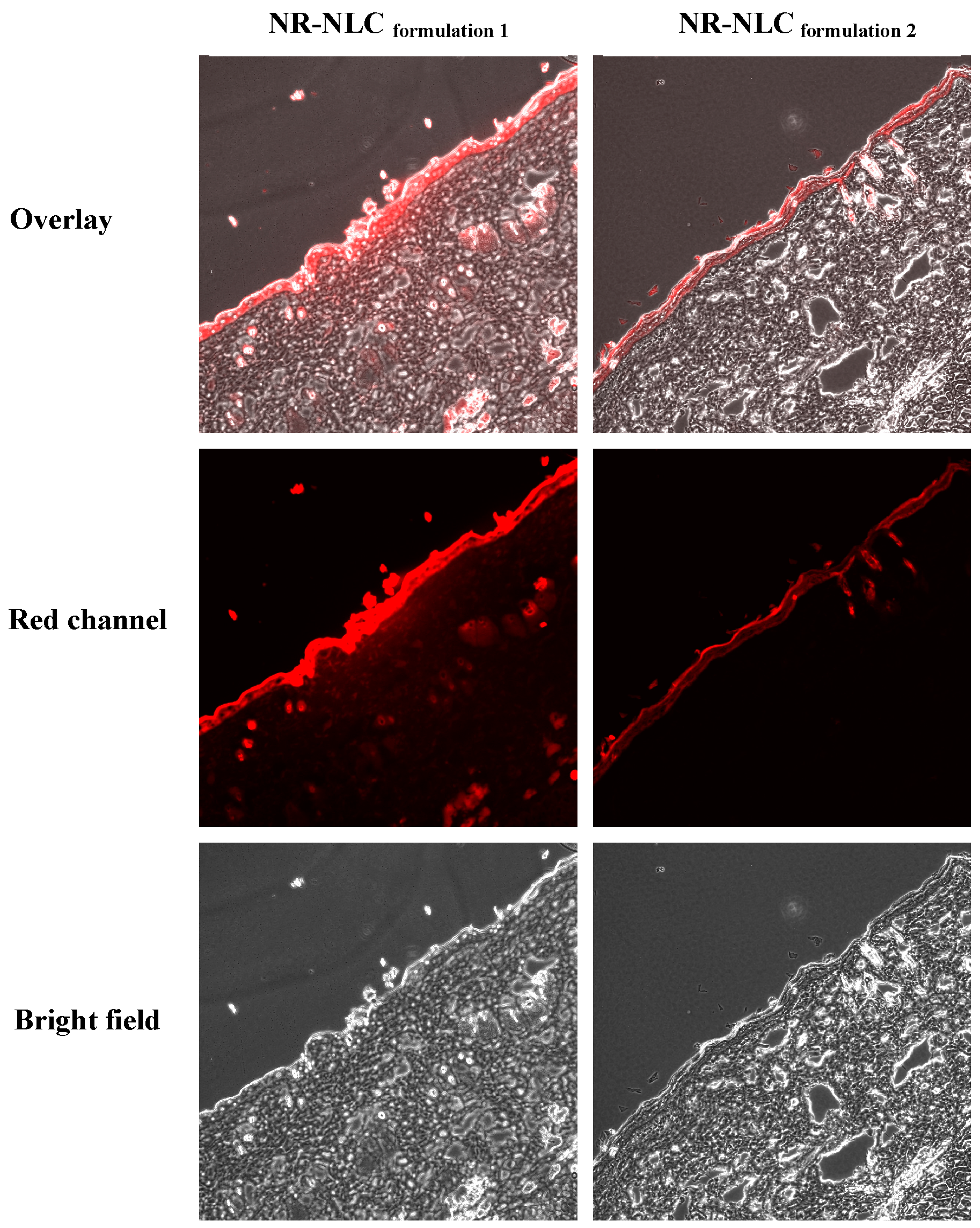 Molecules 21 01549 g005