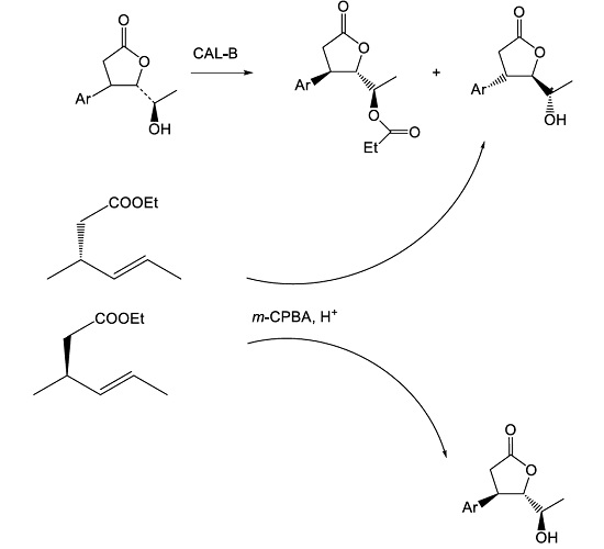 Molecules Free Full Text Chemoenzymatic Synthesis Of Trans B Aryl D Hydroxy G Lactones And Enzymatic Kinetic Resolution Of Their Racemic Mixtures Html