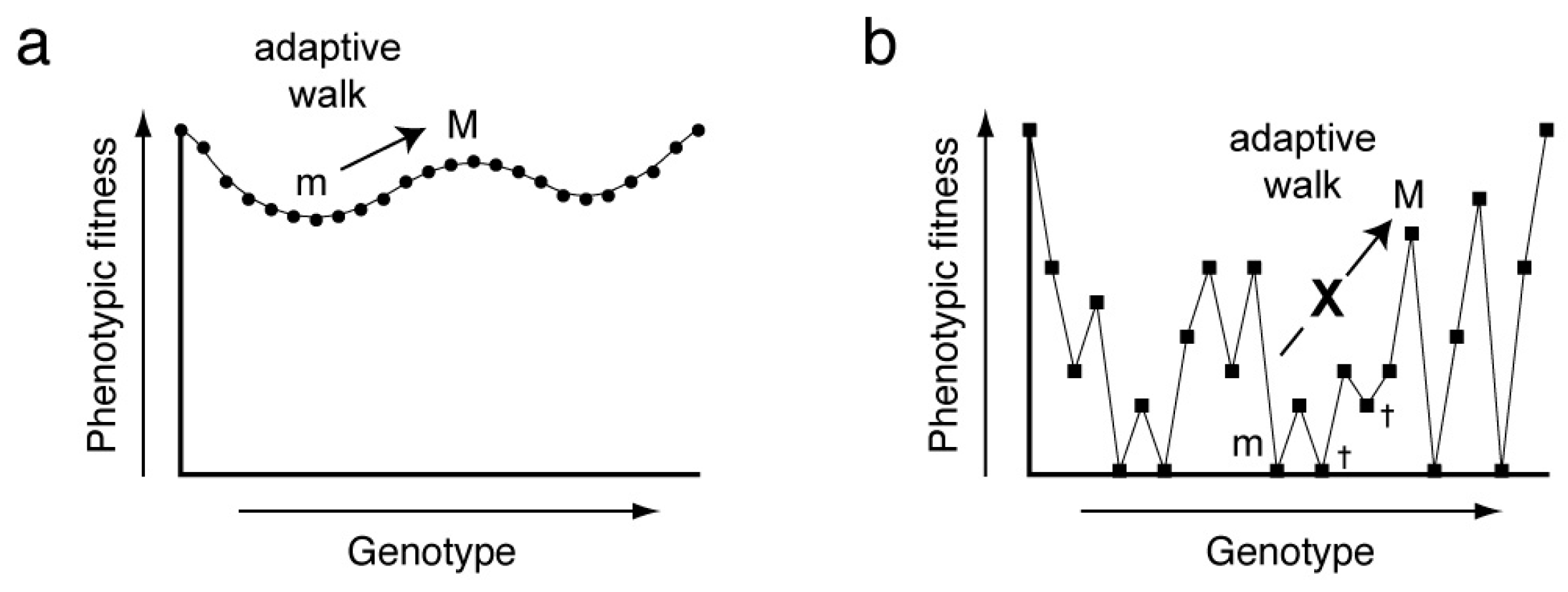 Molecules 21 01570 g001 550
