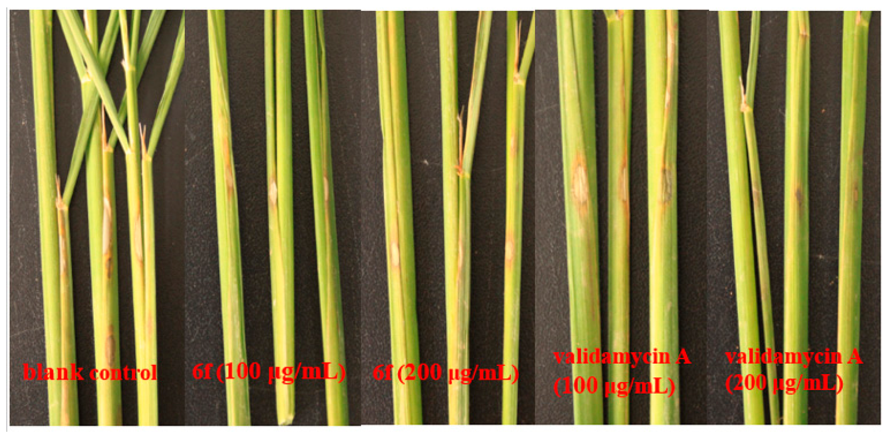 Molecules 21 01574 g003