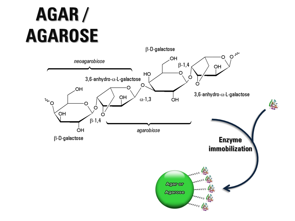 gelatin vs agar agar gelatin vs agar agar